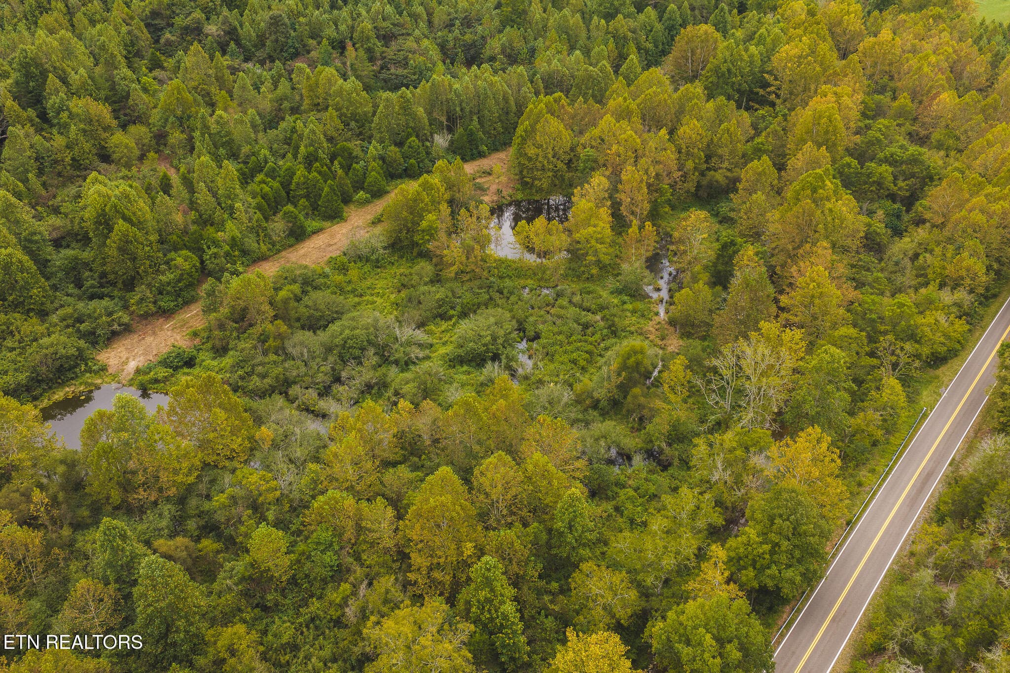 DJI_20260923141844_0349_D - Copy - 1444 Beech Creek Rd, Rogersville, TN 37857, Rogersville