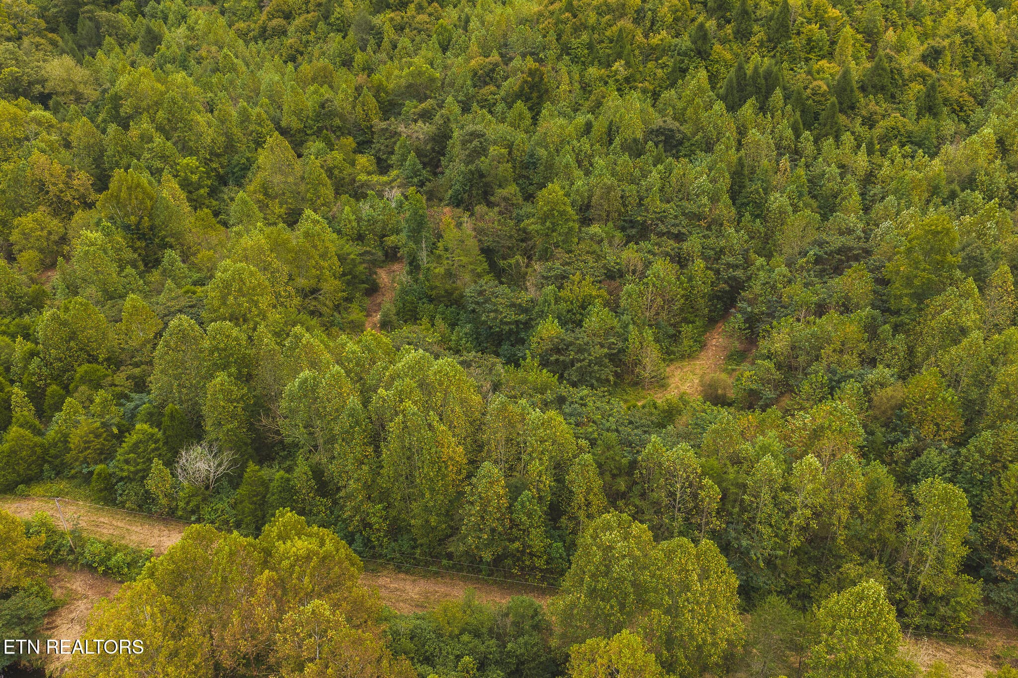 DJI_20260923141924_0351_D - Copy - 1444 Beech Creek Rd, Rogersville, TN 37857, Rogersville