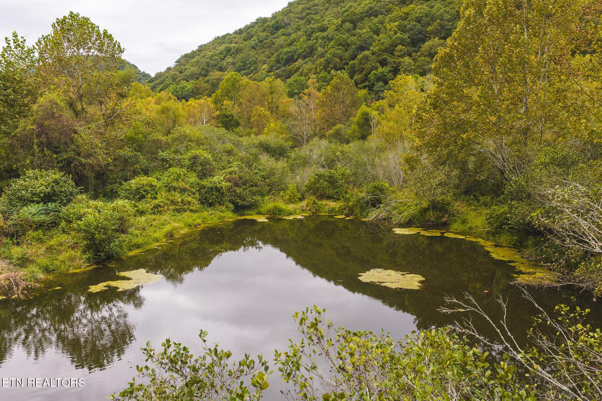 DJI_20260923142553_0354_D - Copy - 1444 Beech Creek Rd, Rogersville, TN 37857, Rogersville