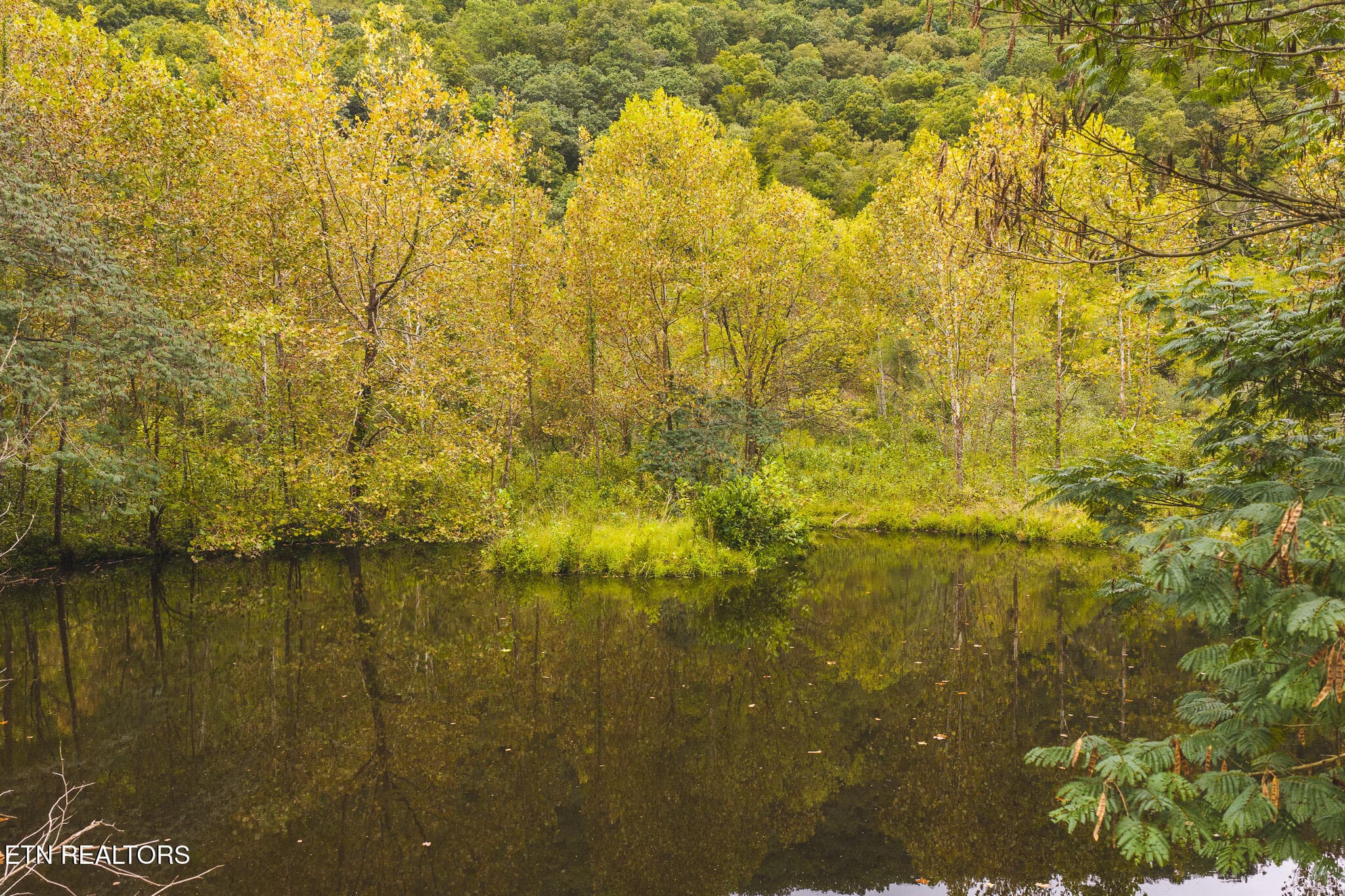 DJI_20260923142713_0357_D - Copy - 1444 Beech Creek Rd, Rogersville, TN 37857, Rogersville