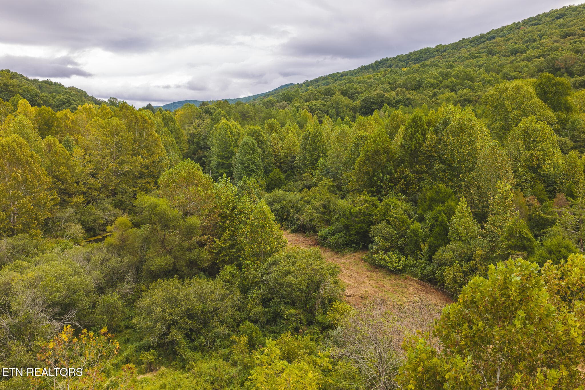 DJI_20260923142818_0361_D - Copy - 1444 Beech Creek Rd, Rogersville, TN 37857, Rogersville