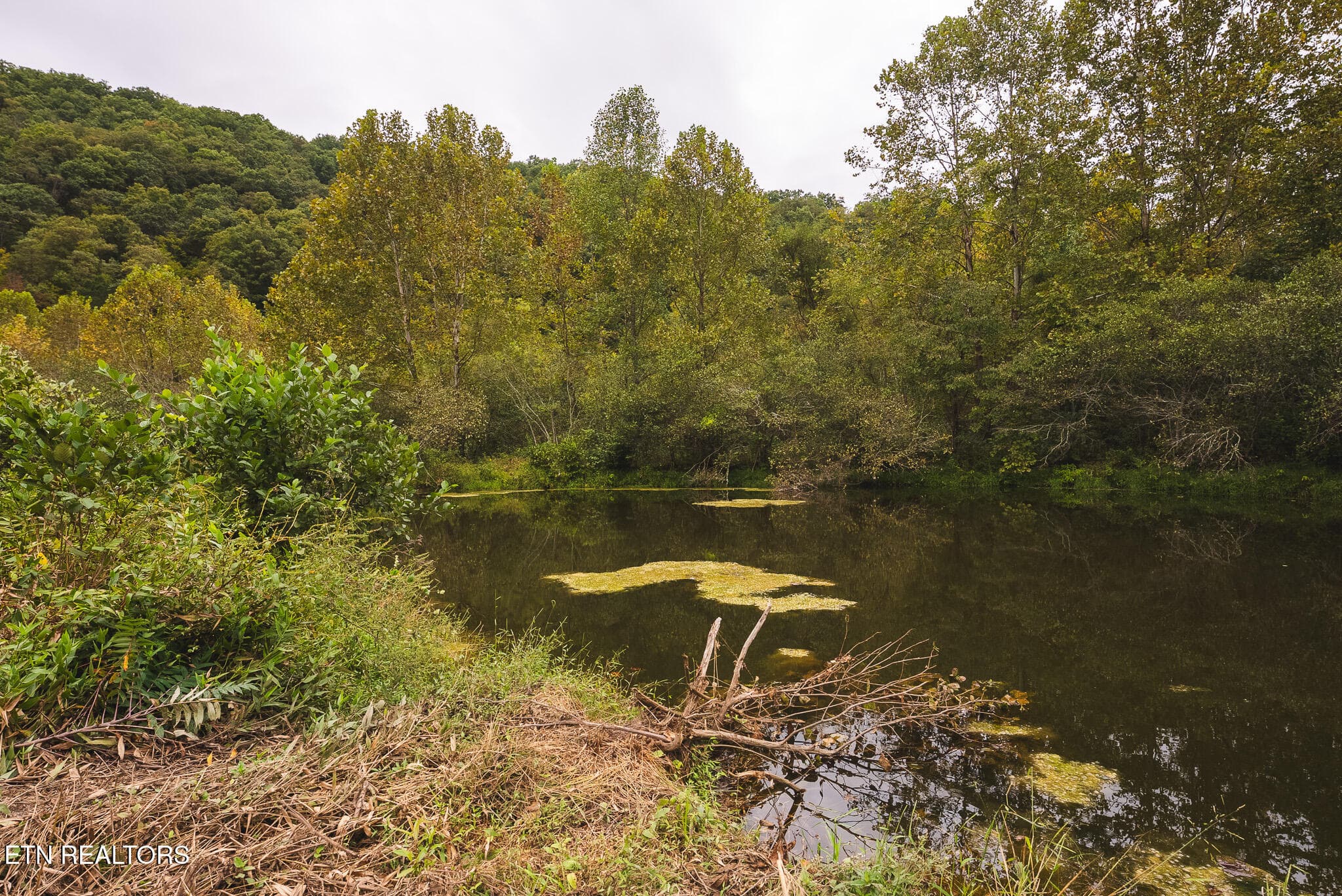 DSC04159 - 1444 Beech Creek Rd, Rogersville, TN 37857, Rogersville