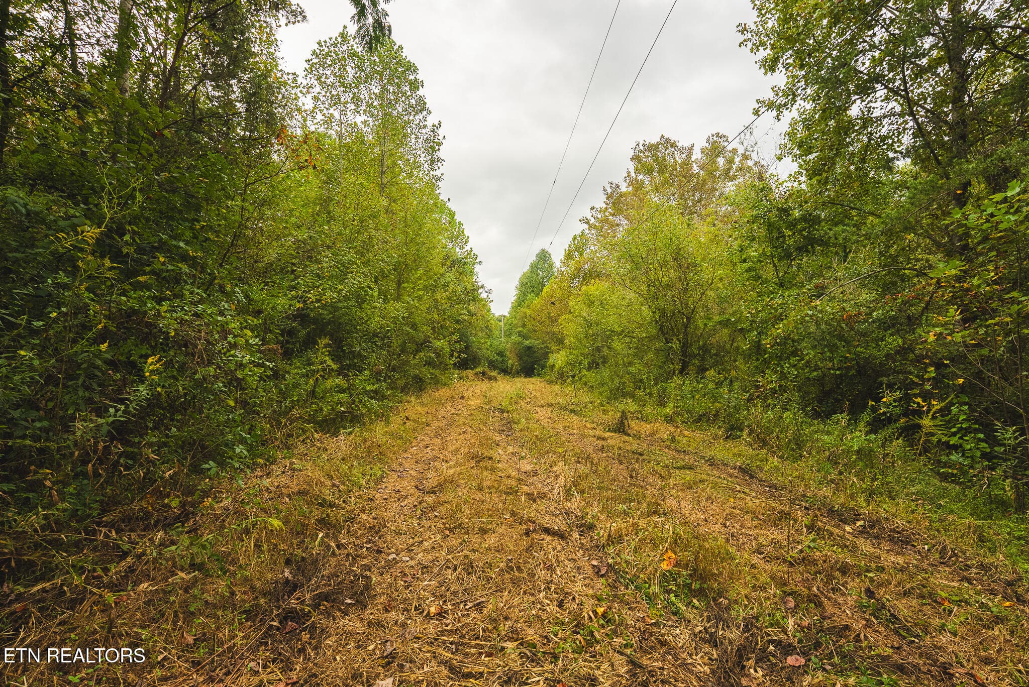 DSC04164 - 1444 Beech Creek Rd, Rogersville, TN 37857, Rogersville