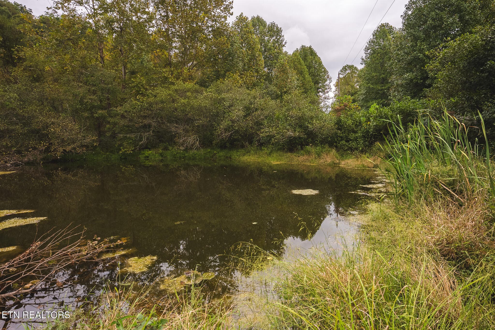 DSC04160 - 1444 Beech Creek Rd, Rogersville, TN 37857, Rogersville