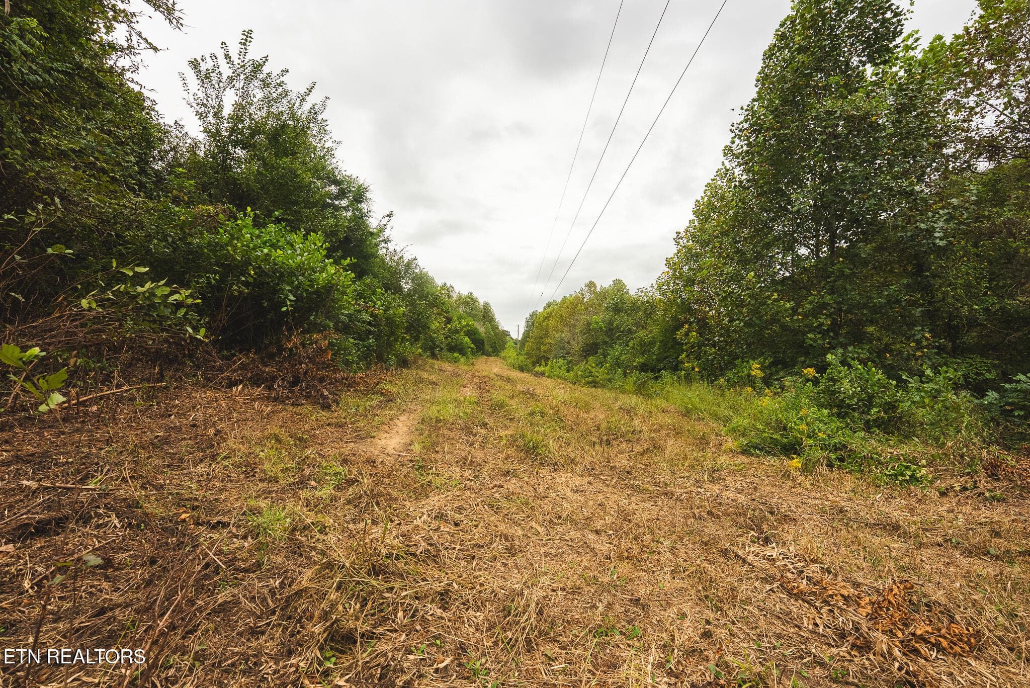 DSC04162 - 1444 Beech Creek Rd, Rogersville, TN 37857, Rogersville