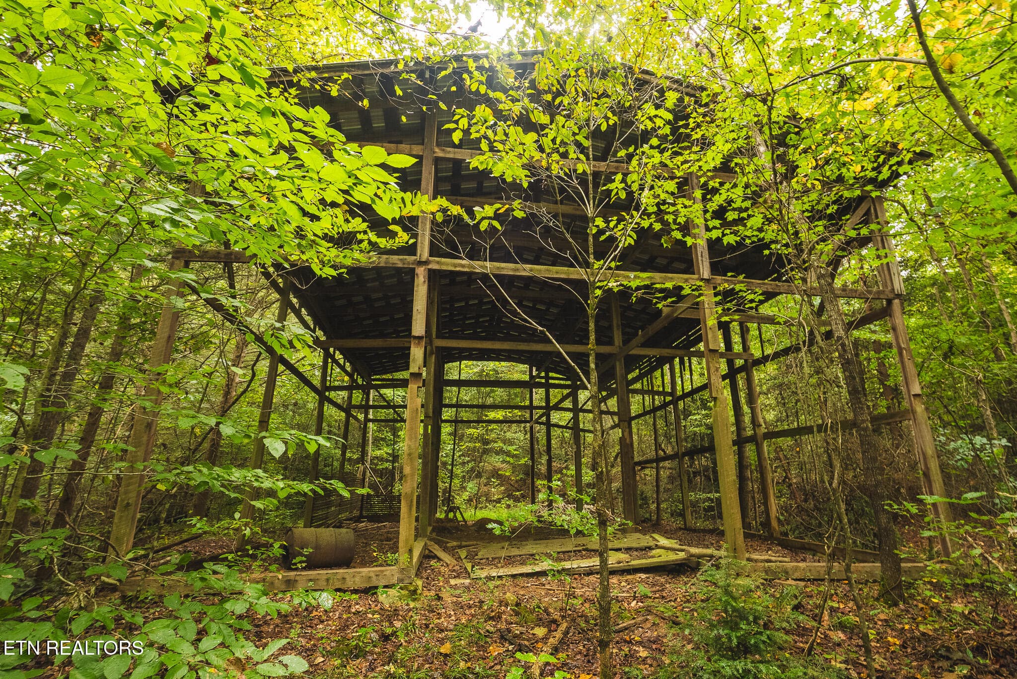DSC04174 - 1444 Beech Creek Rd, Rogersville, TN 37857, Rogersville