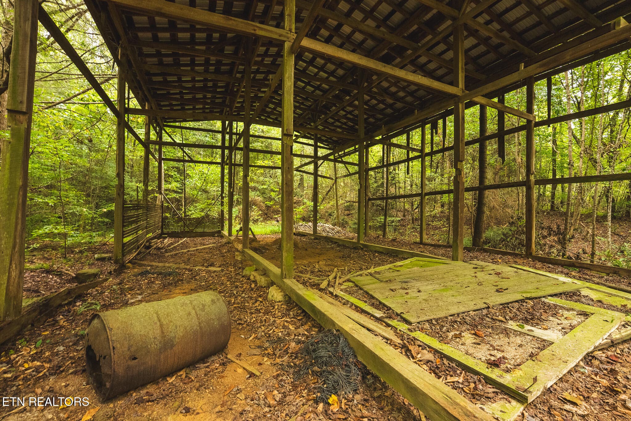 DSC04176 - 1444 Beech Creek Rd, Rogersville, TN 37857, Rogersville