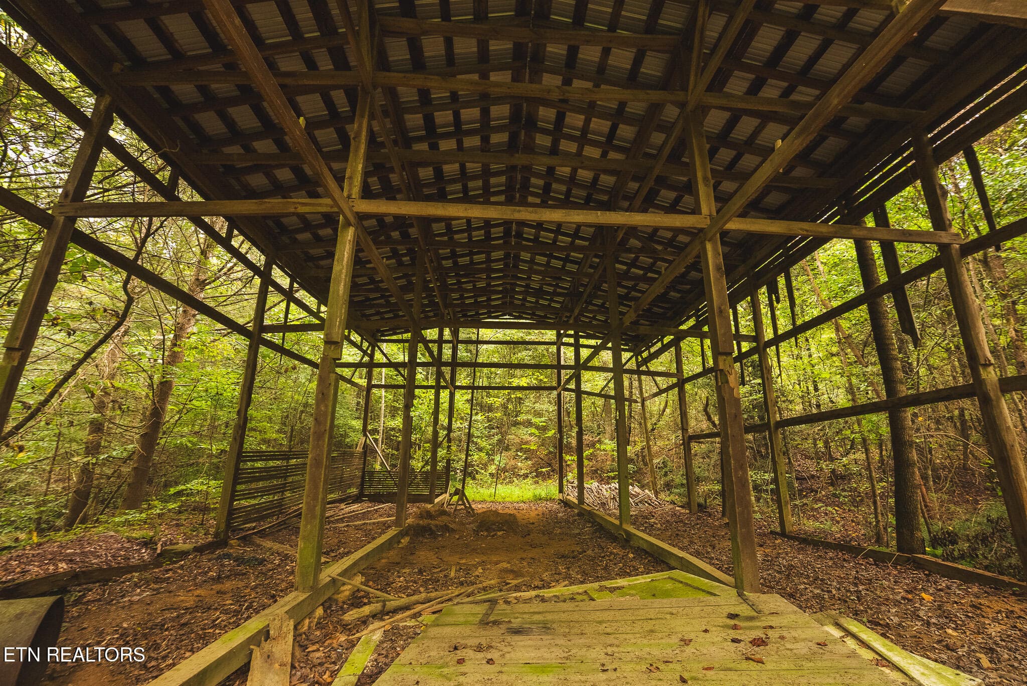 DSC04180 - 1444 Beech Creek Rd, Rogersville, TN 37857, Rogersville
