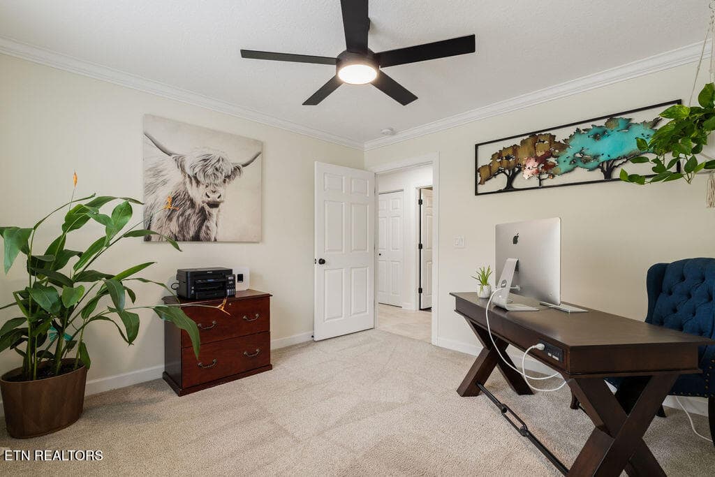 Guest Bed 1 - 205 Channel Drive, Loudon, TN 37774, Loudon