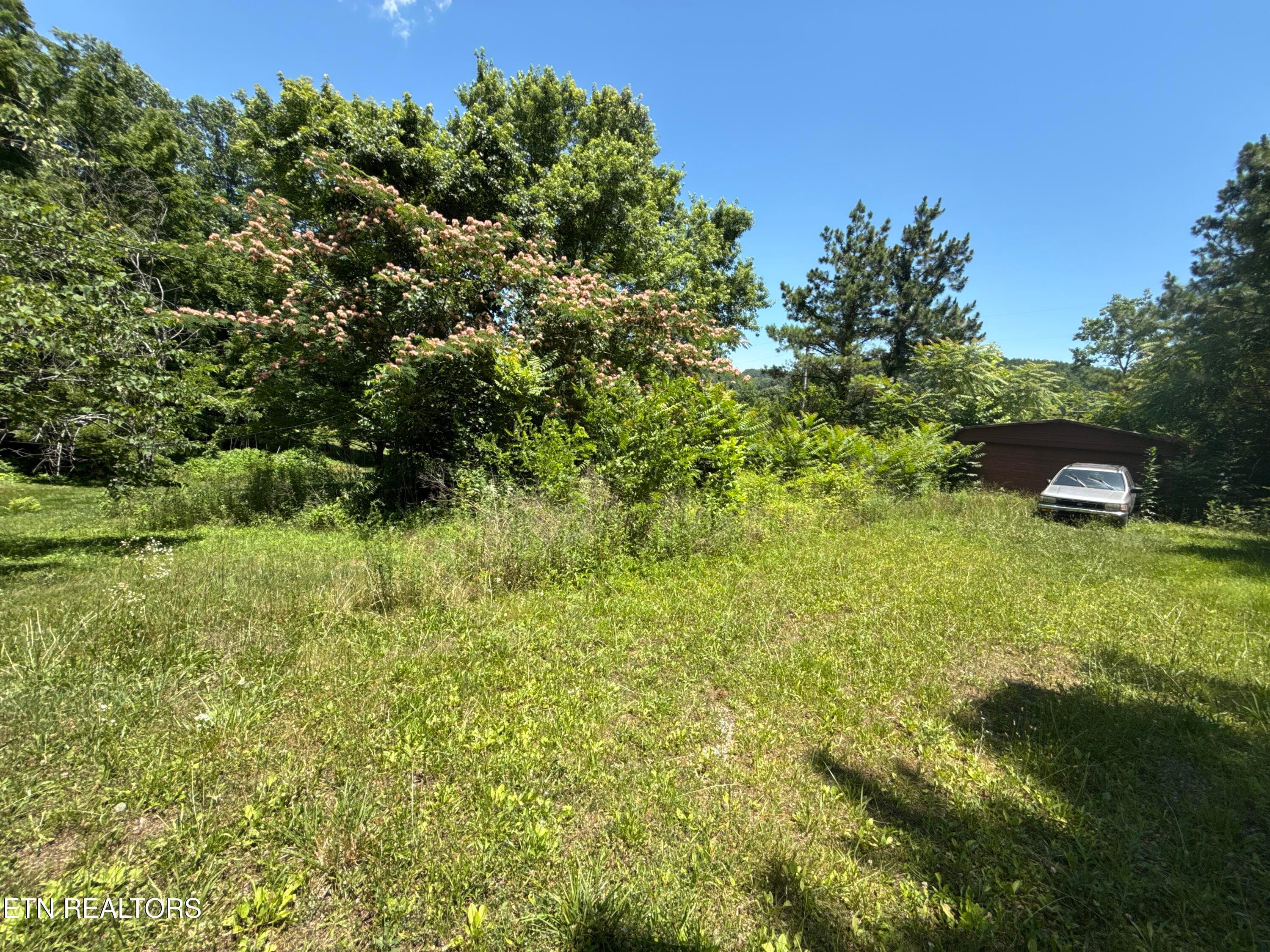 DJI_20260617_130642_715 - 1235 Sharp Lane, Caryville, TN 37714, Caryville