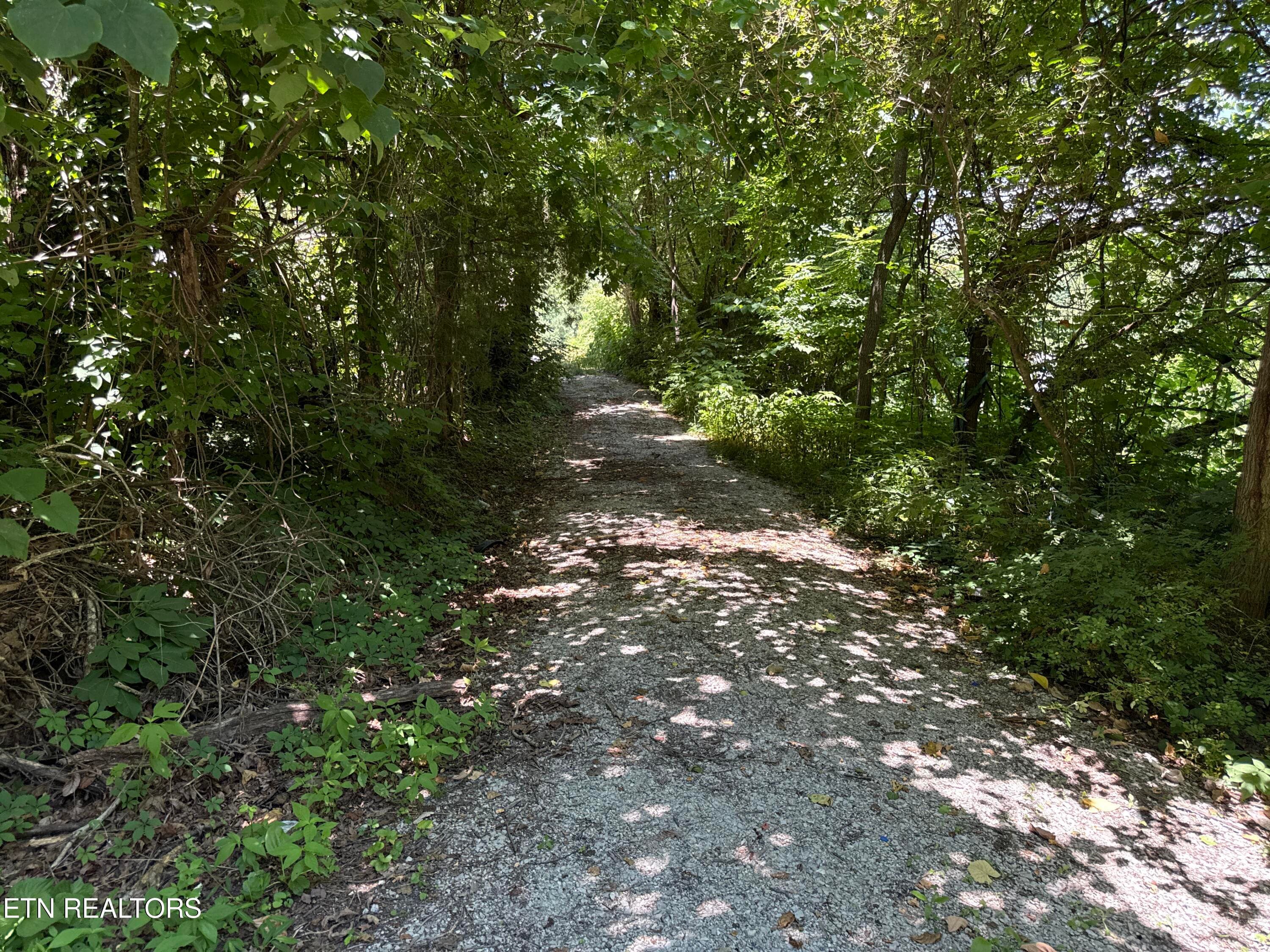 DJI_20260617_131012_159 - 1347 Sharp Lane, Caryville, TN 37714, Caryville