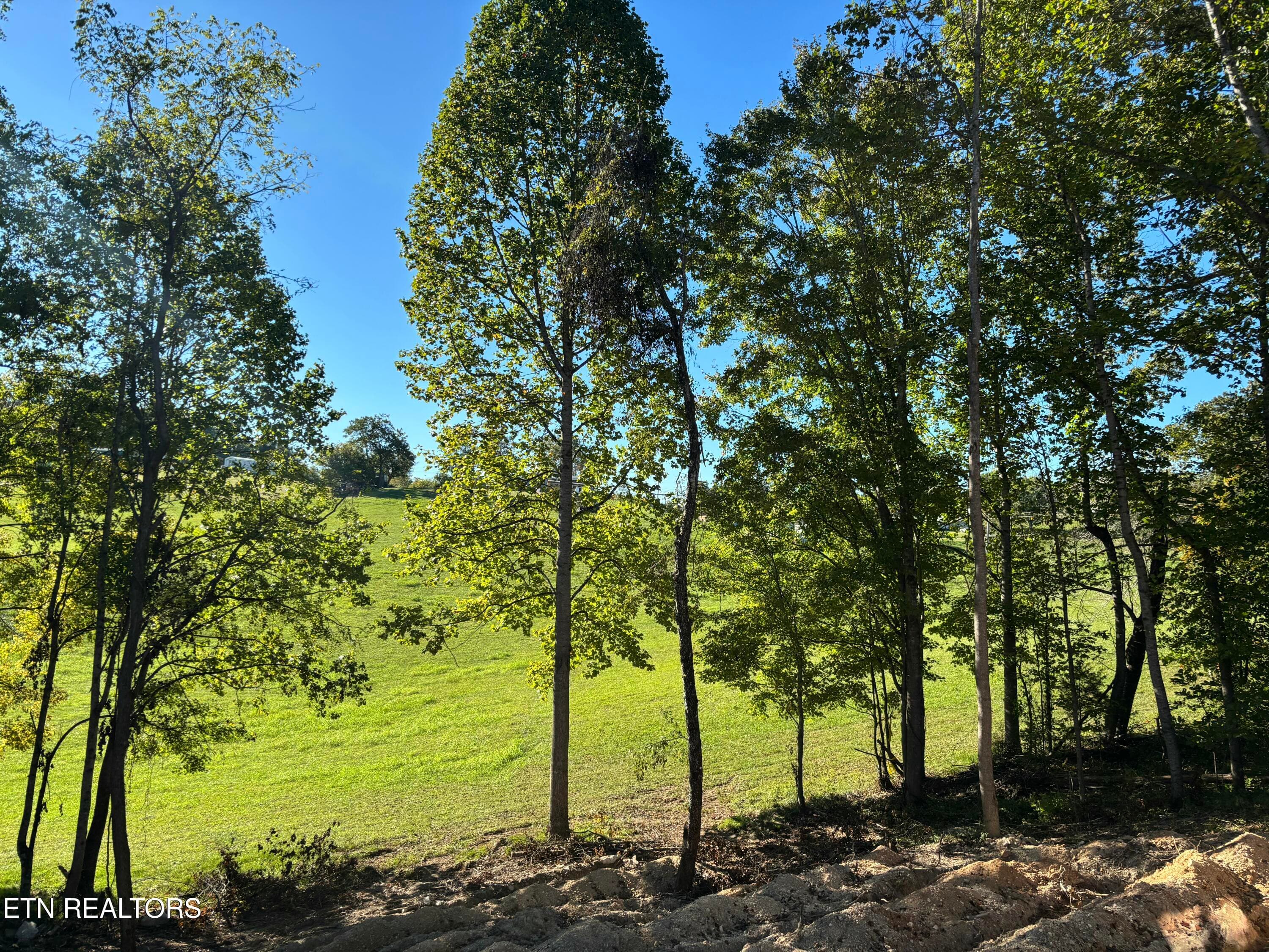 IMG_8901-preview - 128 Whitaker Lane, Tazewell, TN 37879, Tazewell