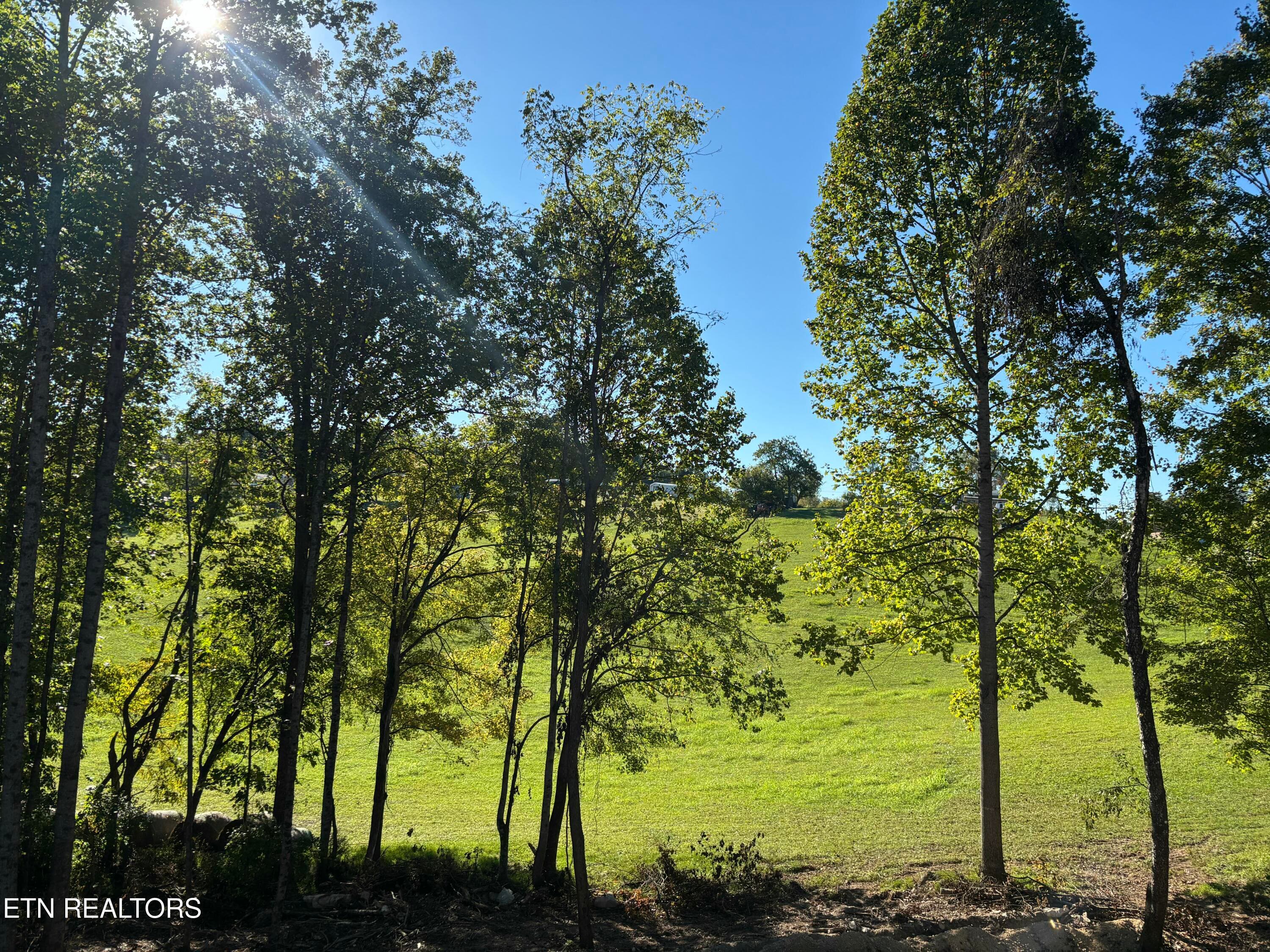 IMG_8902-preview - 128 Whitaker Lane, Tazewell, TN 37879, Tazewell