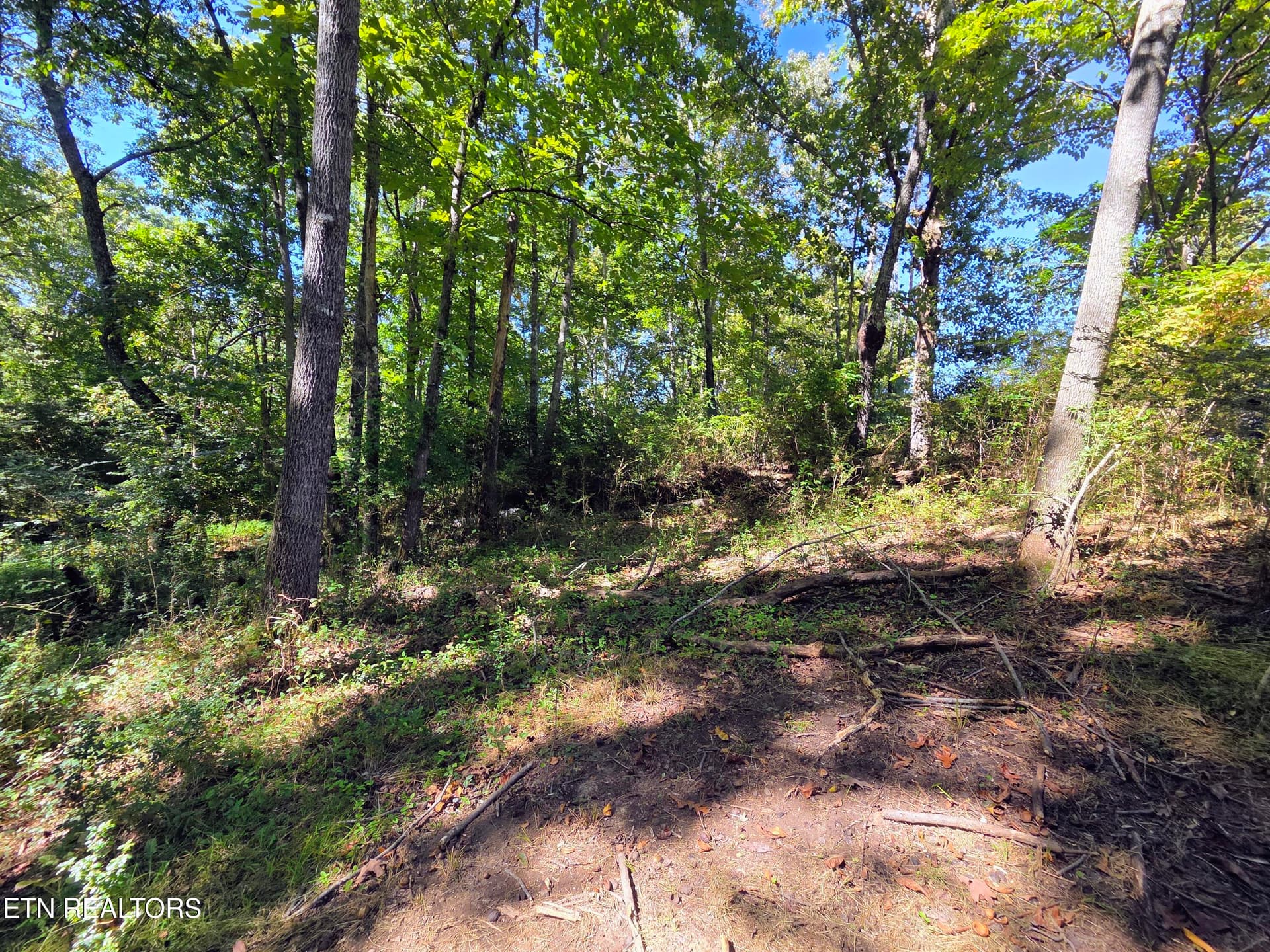 20260929_120006~2 - Prentice St. - Lots 35 & 36, Crossville, TN 38555