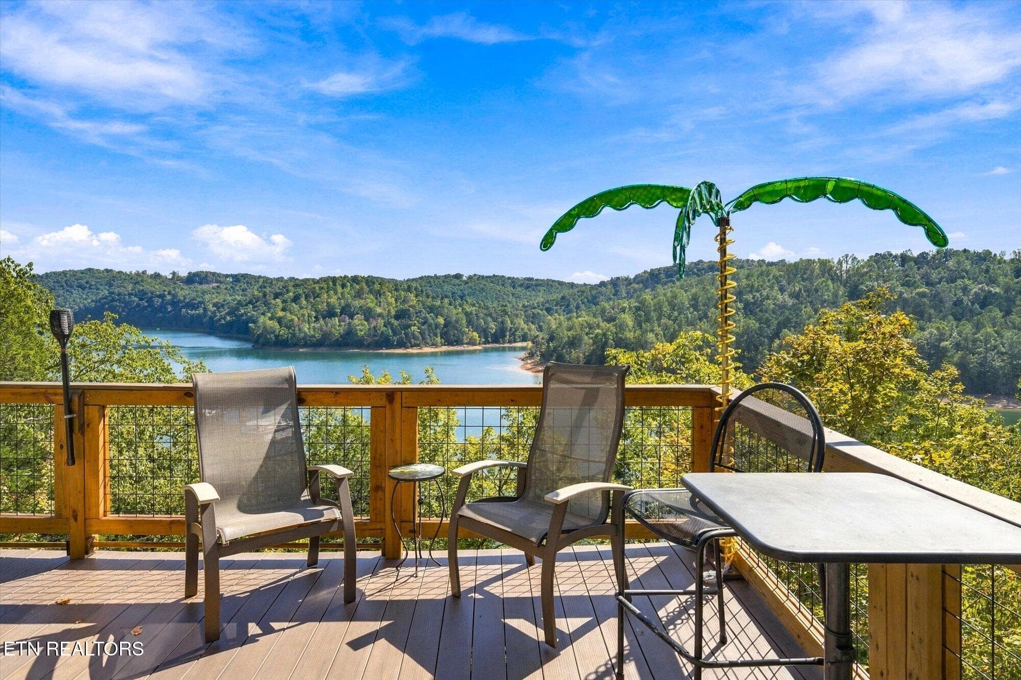 3 - 869 Flat Hollow Marina Rd, Speedwell, TN 37870, Speedwell