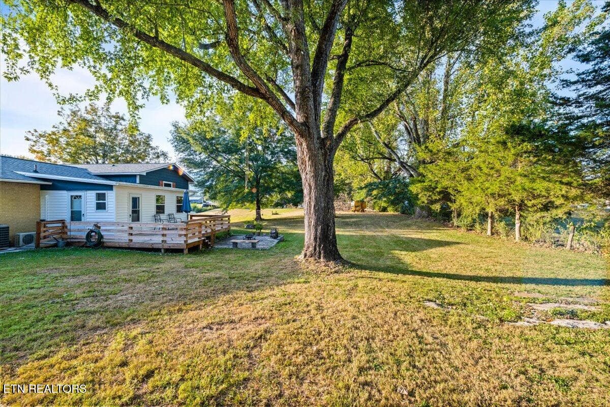 Large yard - 328 Brown Crest Rd, LaFollette, TN 37766, LaFollette