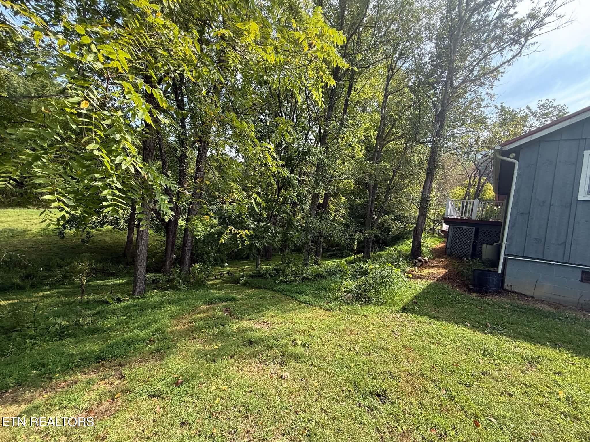 1-13 - 925 Tweed Springs Rd, Greeneville, TN 37743, Greeneville