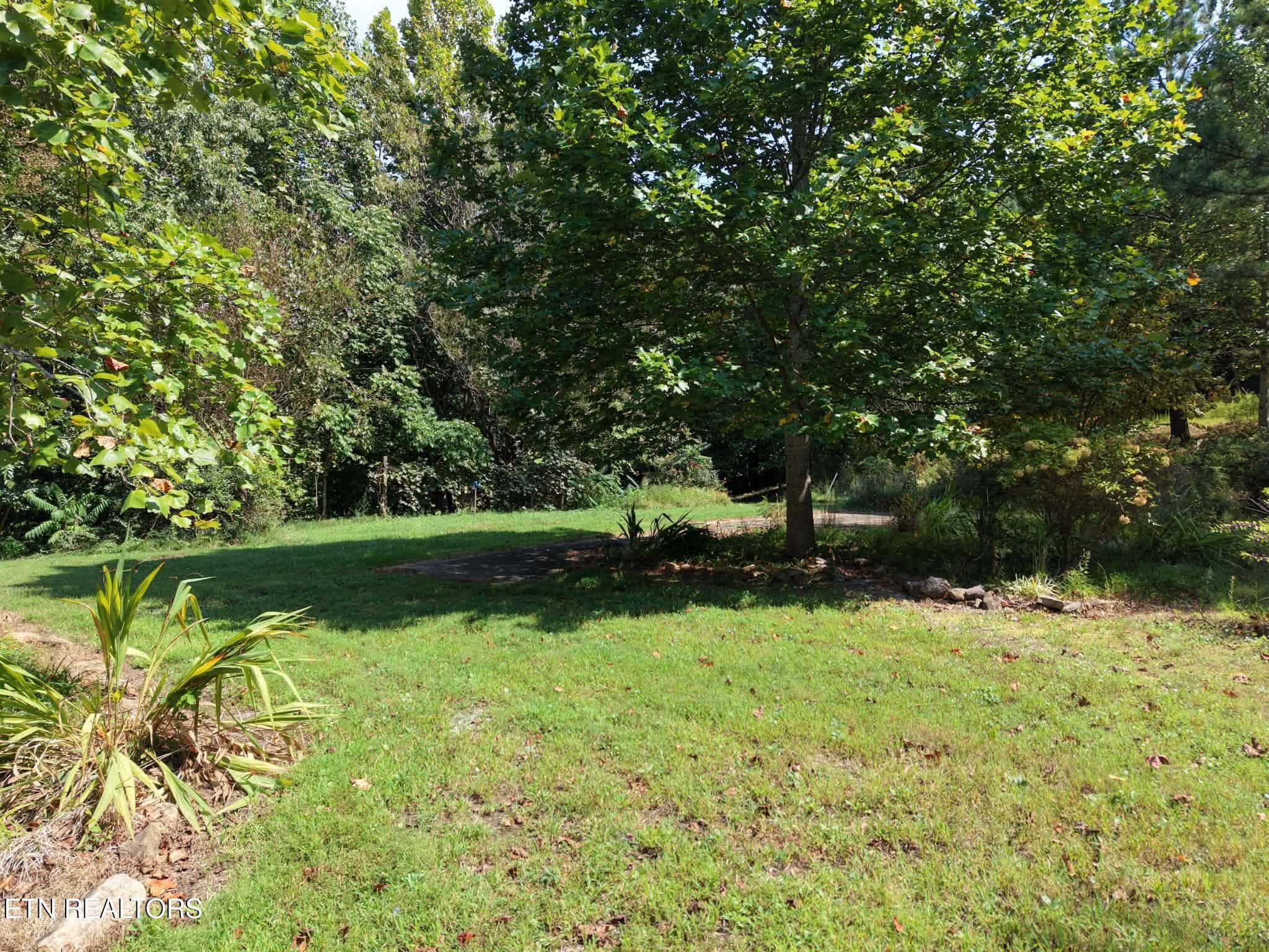 1-25 - 925 Tweed Springs Rd, Greeneville, TN 37743, Greeneville