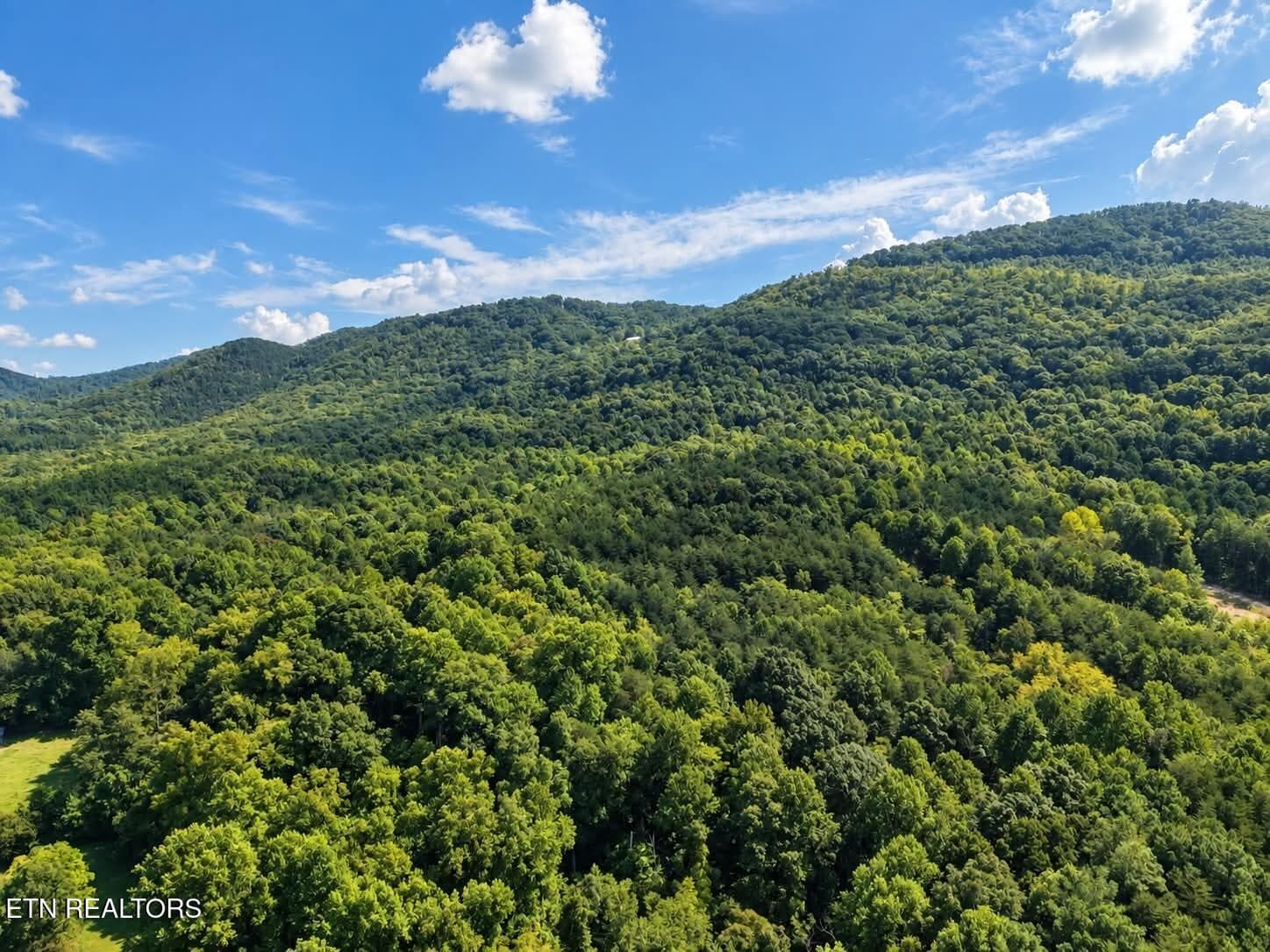 1-28 - 925 Tweed Springs Rd, Greeneville, TN 37743, Greeneville