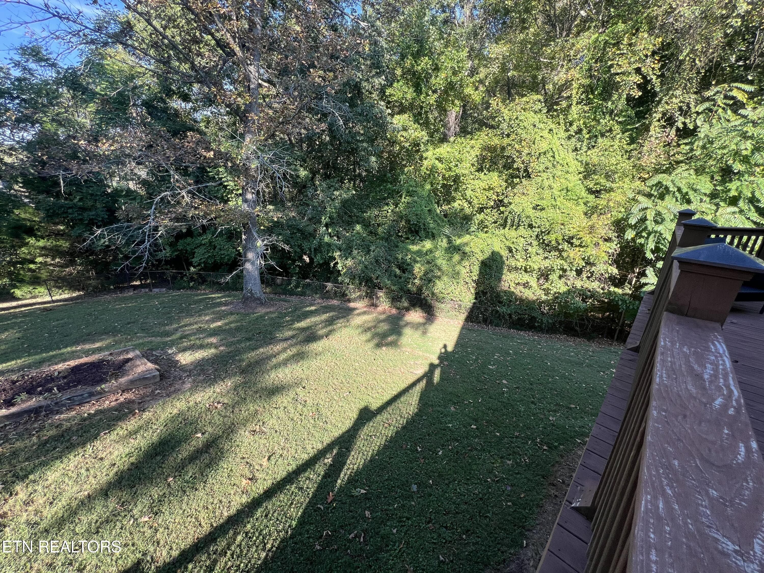 IMG_9983 - 142 Rayahs Way, Quebeck, TN 38579, Quebeck