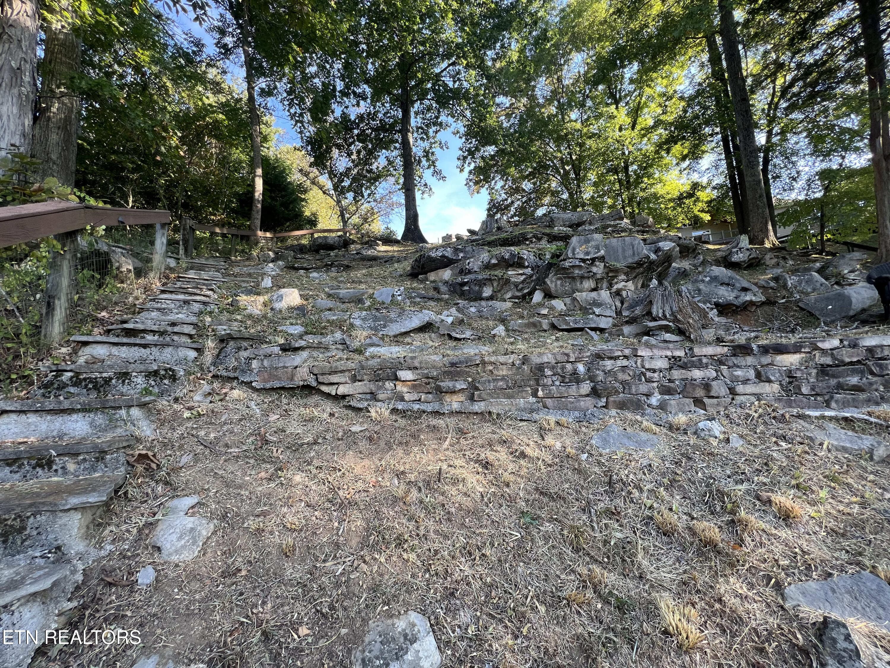 IMG_9992 - 142 Rayahs Way, Quebeck, TN 38579, Quebeck