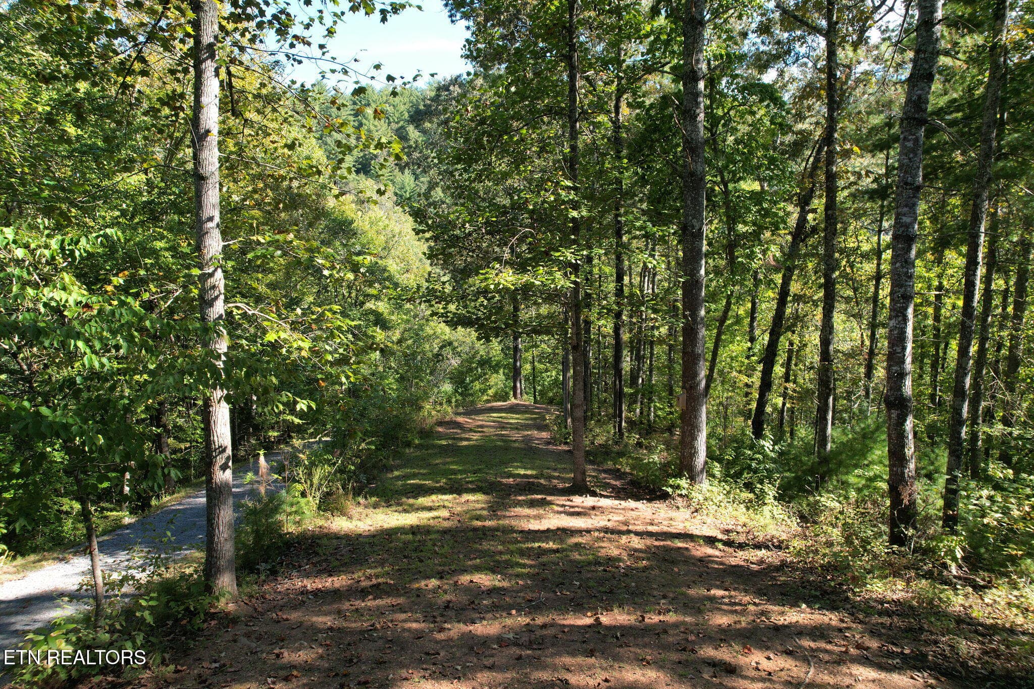 17-web-or-mls-DJI_0078 - 1699 Childers Creek Rd, Reliance, TN 37369, Reliance