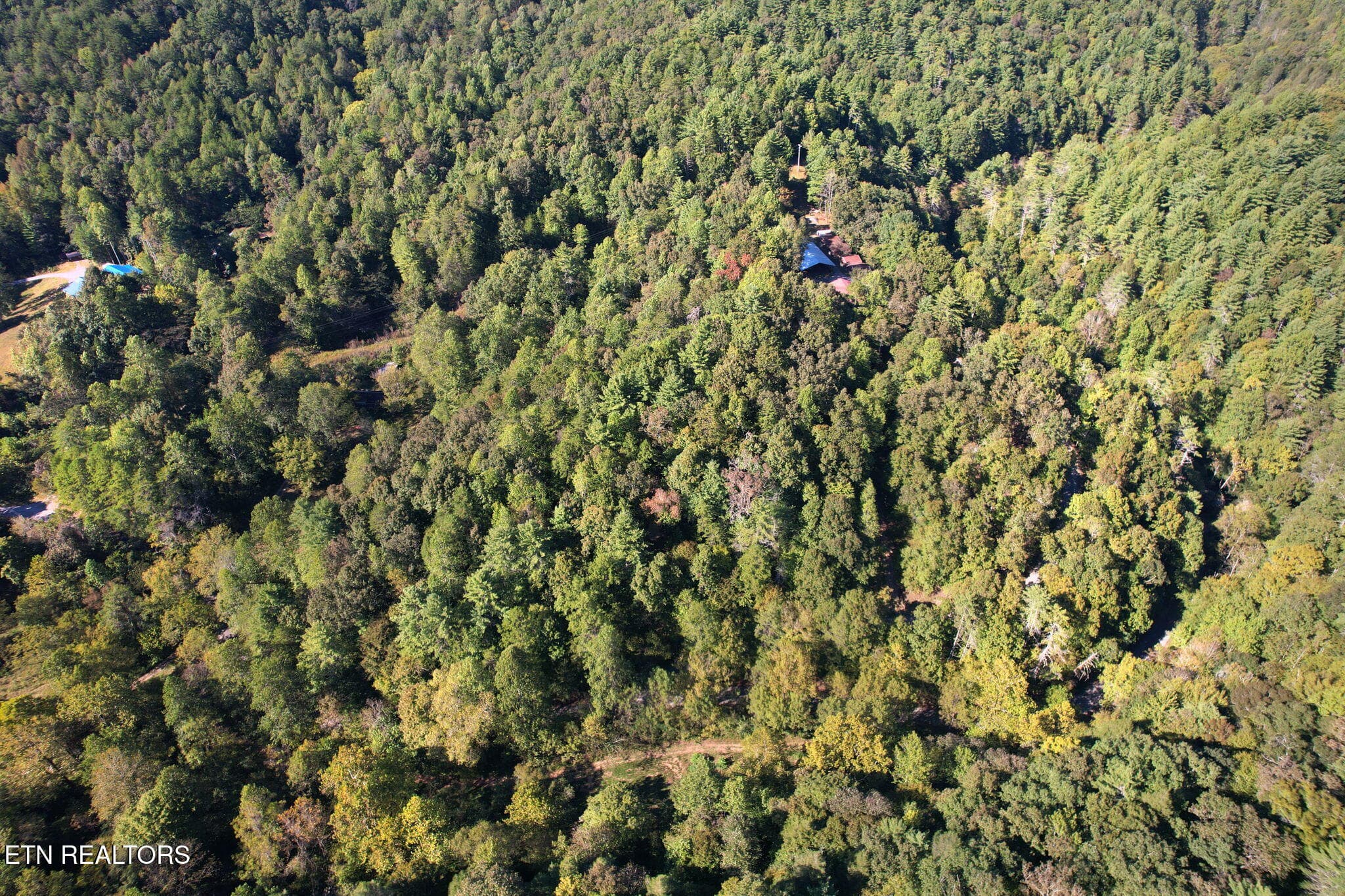19-web-or-mls-DJI_0082 - 1699 Childers Creek Rd, Reliance, TN 37369, Reliance