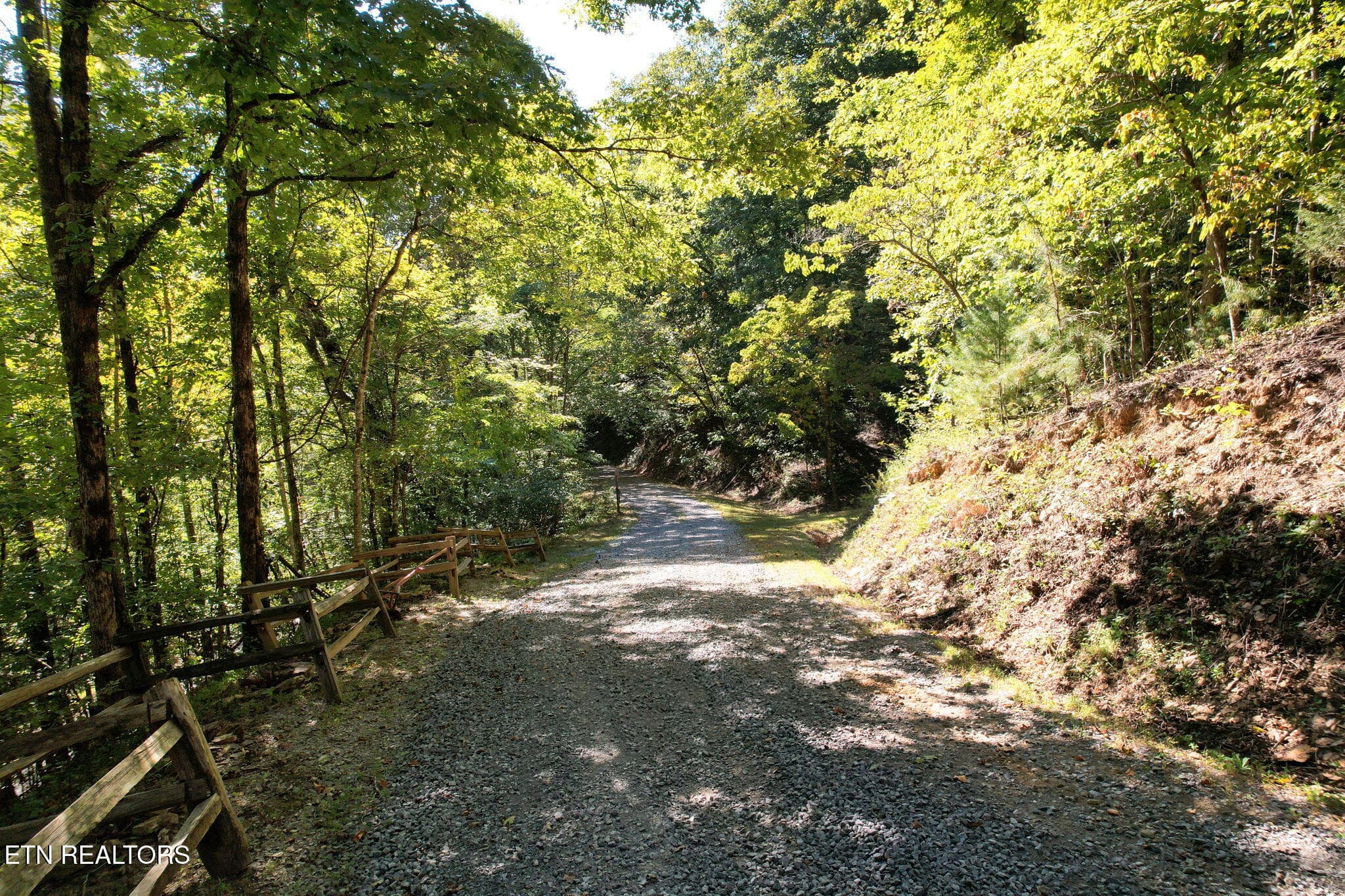 24-web-or-mls-DJI_0091 - 1699 Childers Creek Rd, Reliance, TN 37369, Reliance