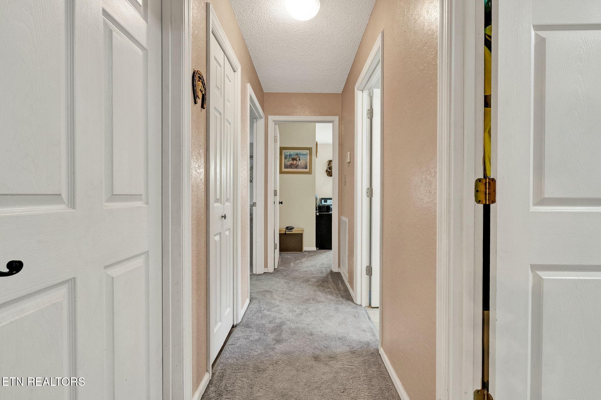 36-web-or-mls-DSC05663 - 1699 Childers Creek Rd, Reliance, TN 37369, Reliance