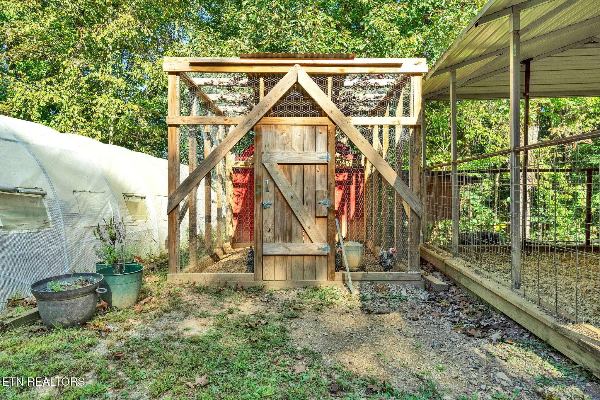 51-web-or-mls-DSC05747 - 1699 Childers Creek Rd, Reliance, TN 37369, Reliance