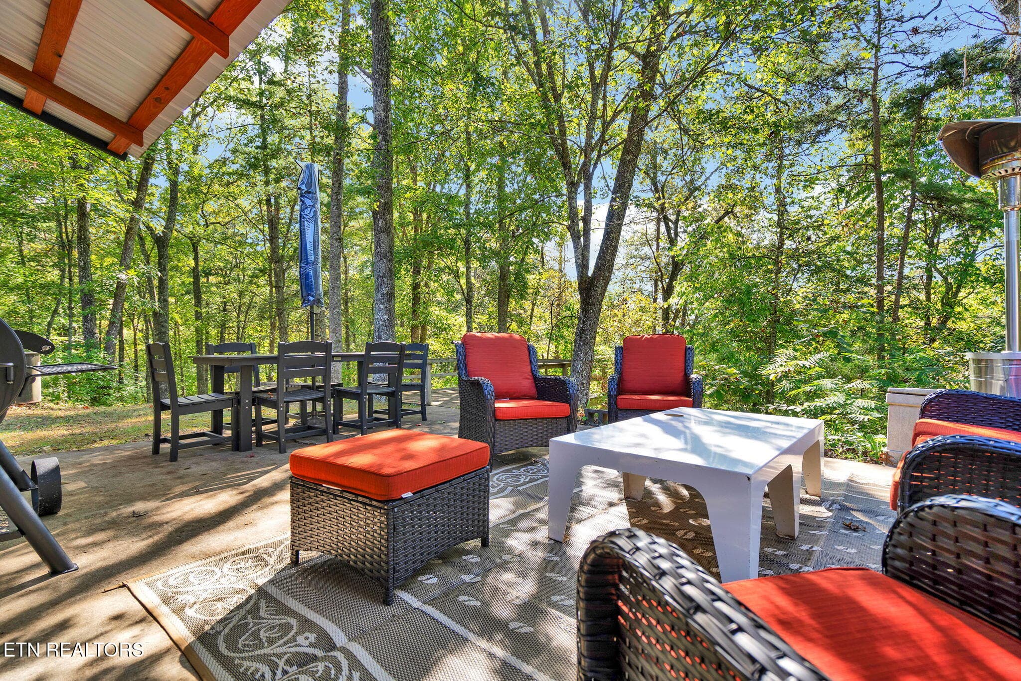 55-web-or-mls-DSC05754 - 1699 Childers Creek Rd, Reliance, TN 37369, Reliance