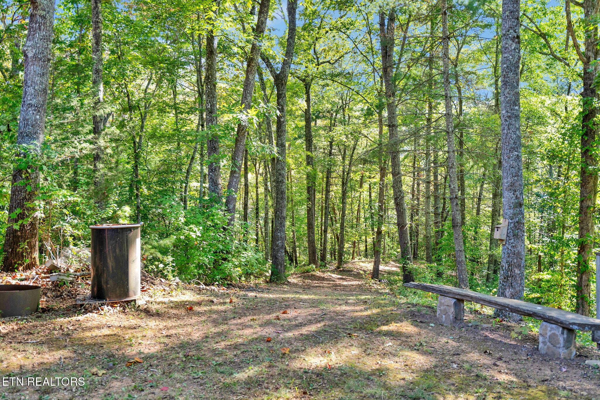 56-web-or-mls-DSC05756 - 1699 Childers Creek Rd, Reliance, TN 37369, Reliance