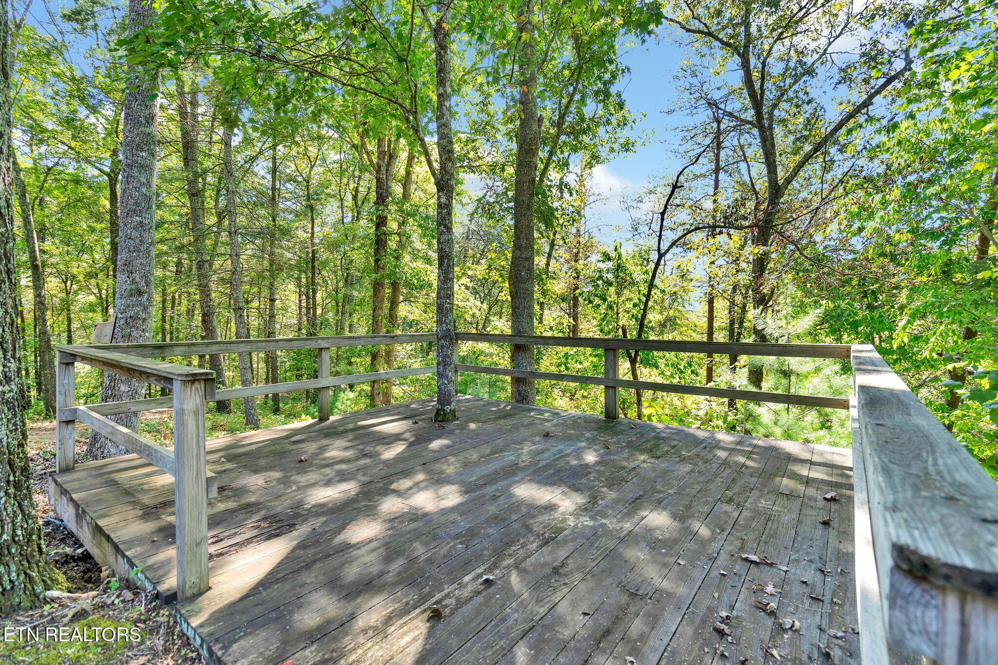 57-web-or-mls-DSC05757 - 1699 Childers Creek Rd, Reliance, TN 37369, Reliance