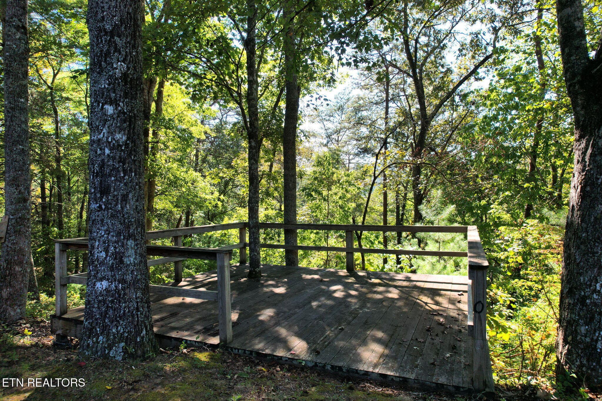 5-web-or-mls-DJI_0062 - 1699 Childers Creek Rd, Reliance, TN 37369, Reliance