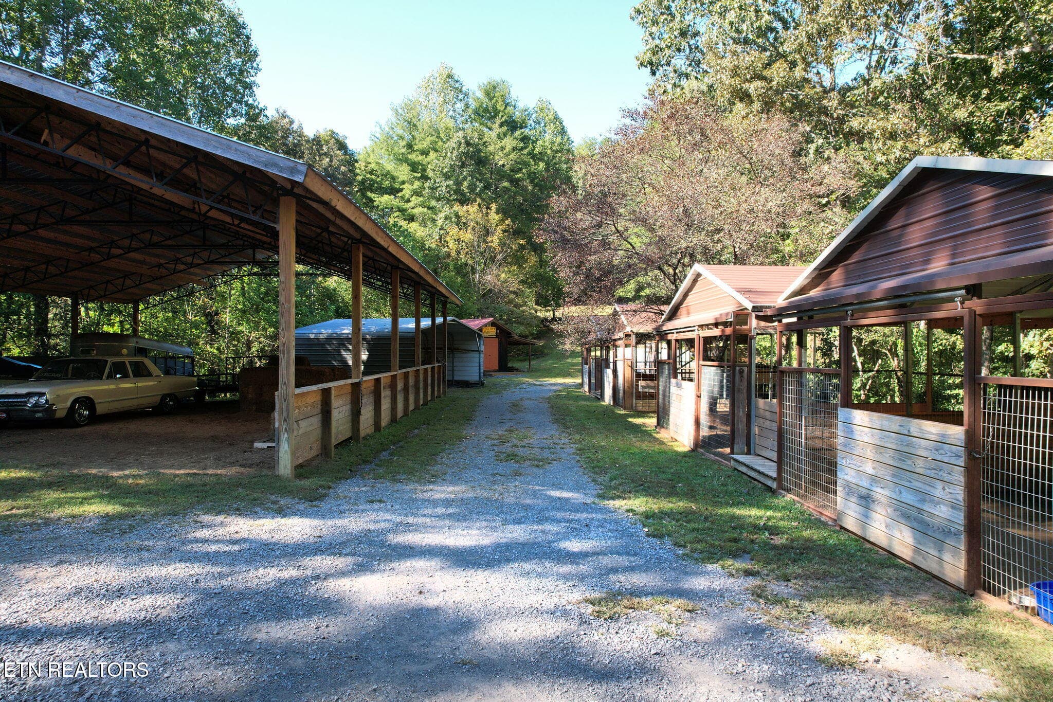 11-web-or-mls-DJI_0068 - 1699 Childers Creek Rd, Reliance, TN 37369, Reliance