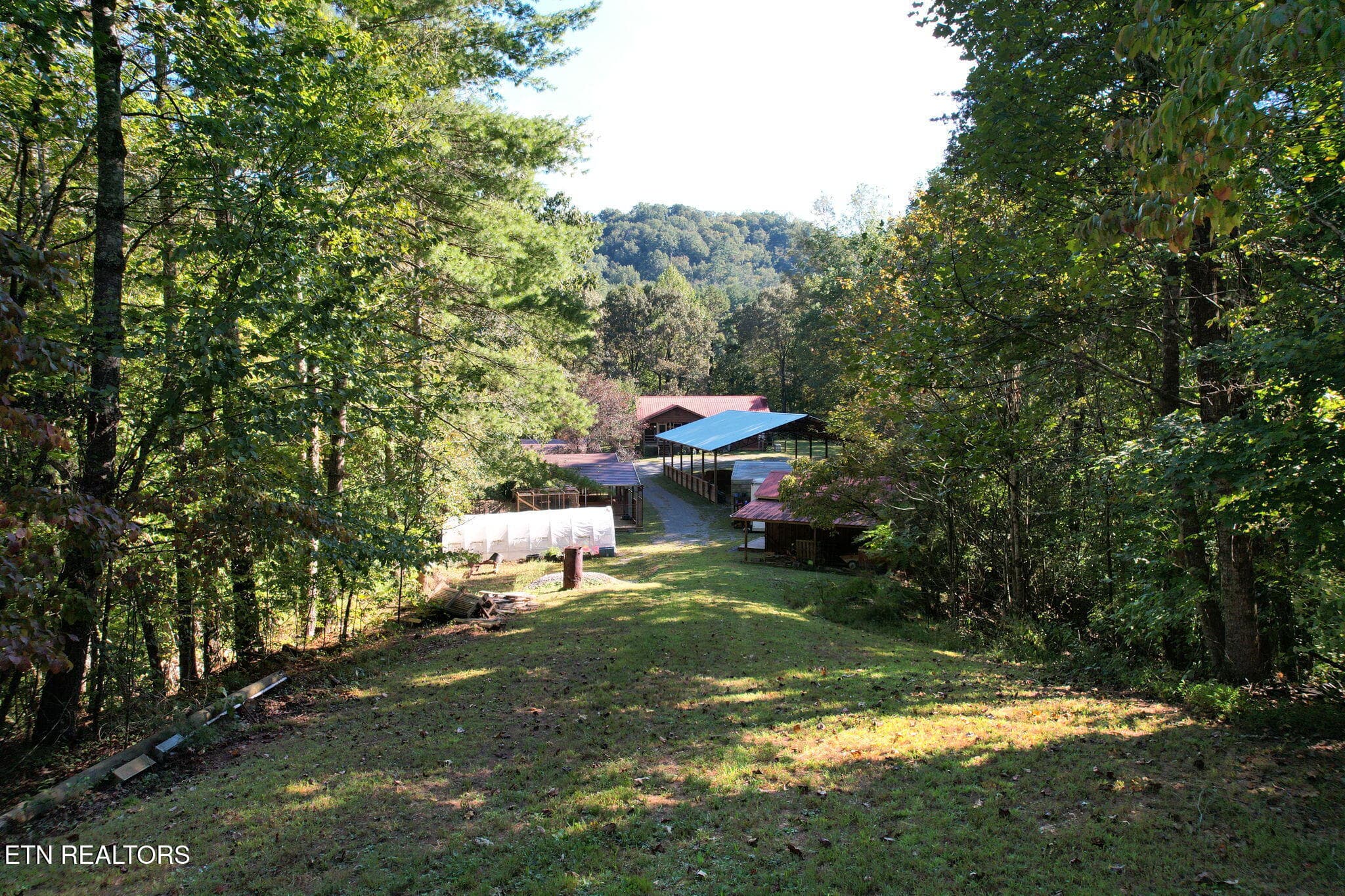 14-web-or-mls-DJI_0074 - 1699 Childers Creek Rd, Reliance, TN 37369, Reliance