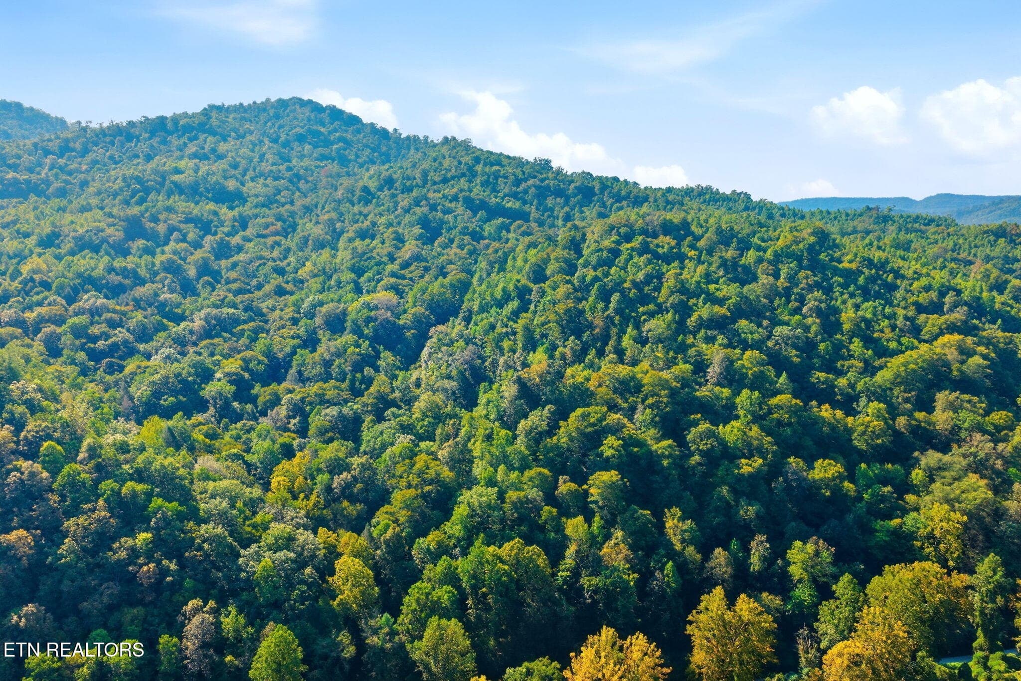 9-web-or-mls-009_DJI_20260916104052_0760 - 8734 Stoney Fork Rd, Huntsville, TN 37756, Huntsville