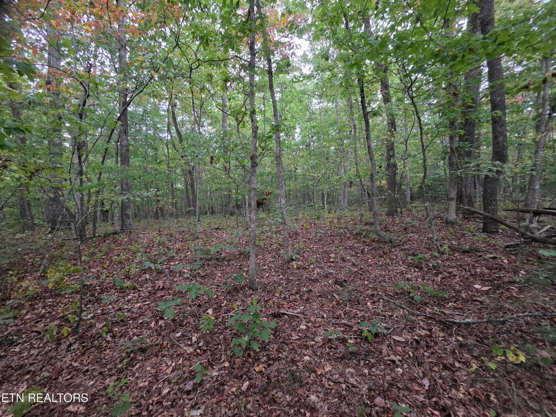 N Lake Tr, Monterey, TN 38574