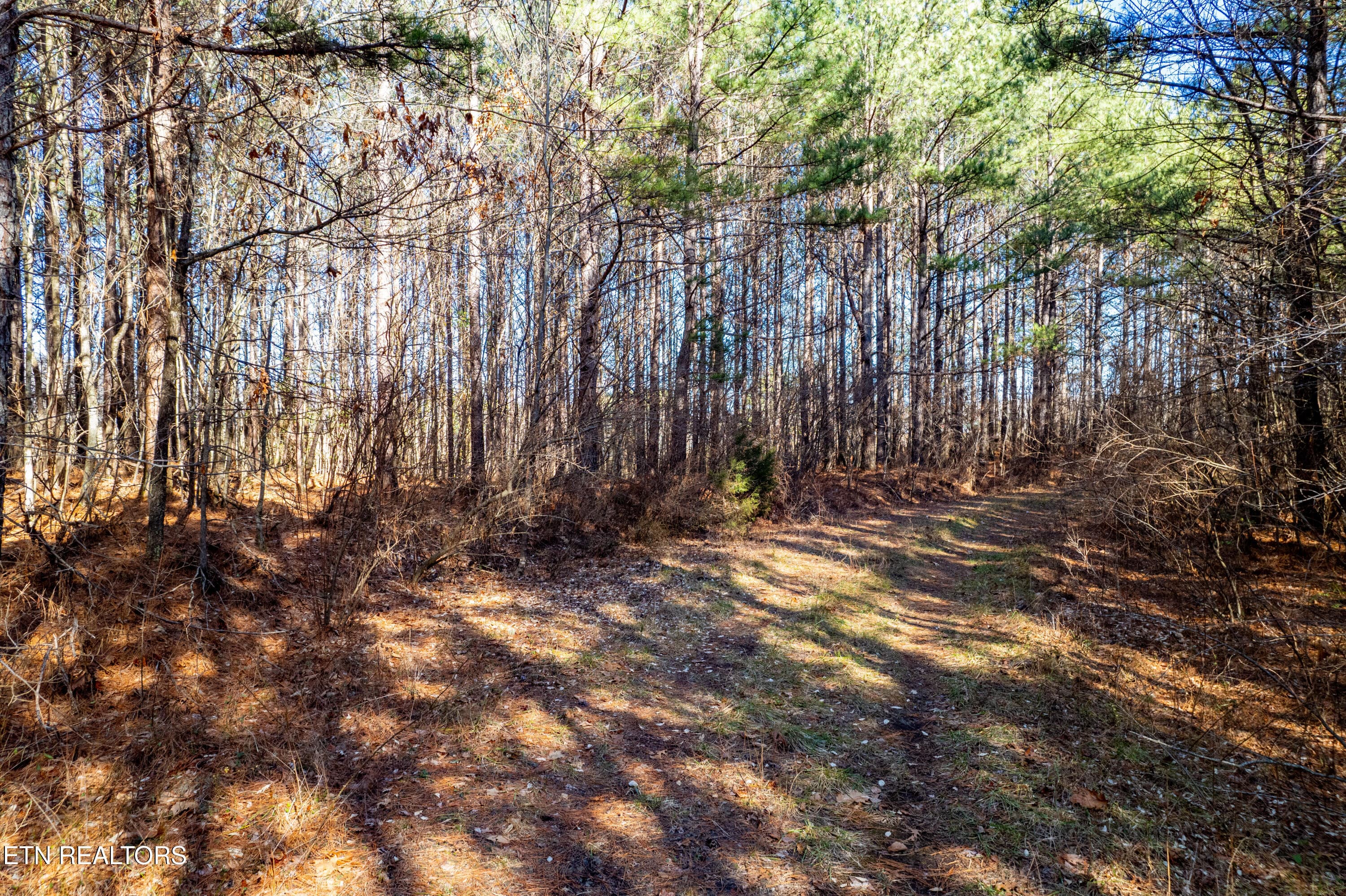 BrendaBabajAirportRd,Rockwood,TN-11 - Lower Rockwood Rd Lot 15, Rockwood, TN 37854, Rockwood