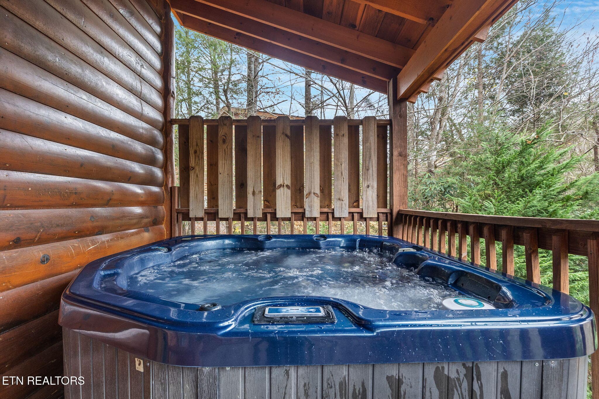 51-web-or-mls-203-amet-way - 203 Amet Way, Cosby, TN 37722, Cosby