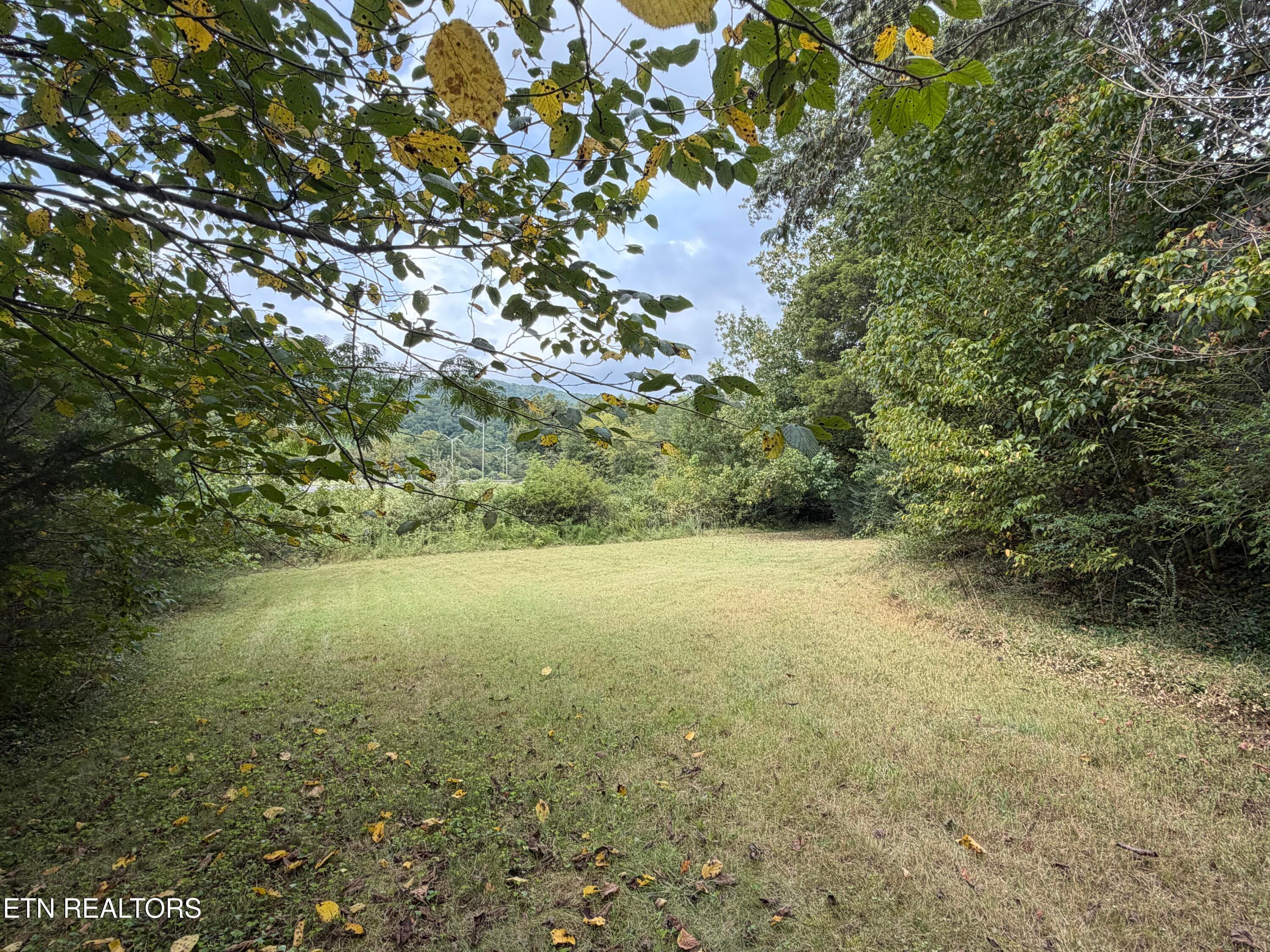 14_2 - 201 Hillcrest Ave, Rocky Top, TN 37769, Rocky Top