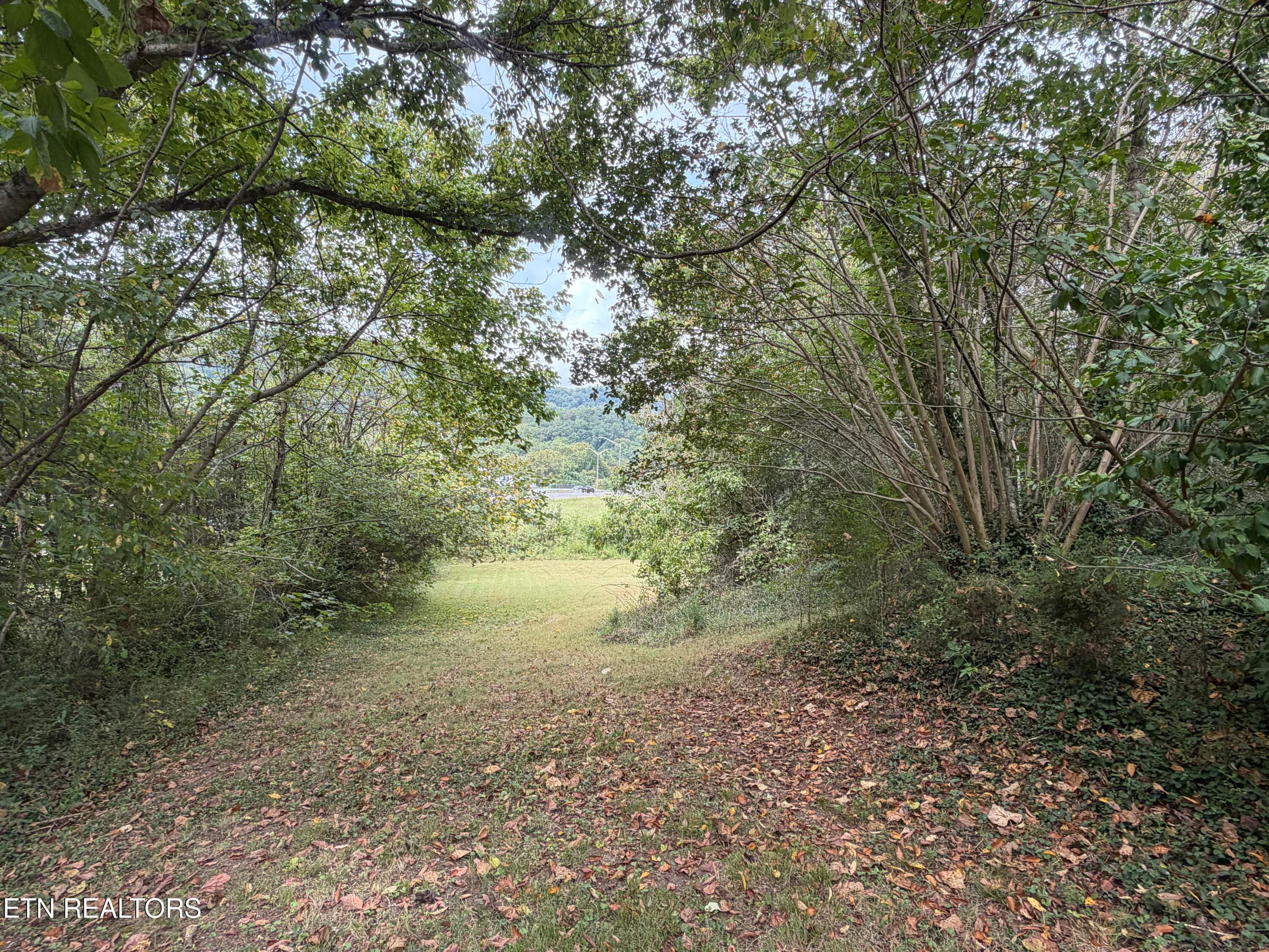 14_3 - 201 Hillcrest Ave, Rocky Top, TN 37769, Rocky Top