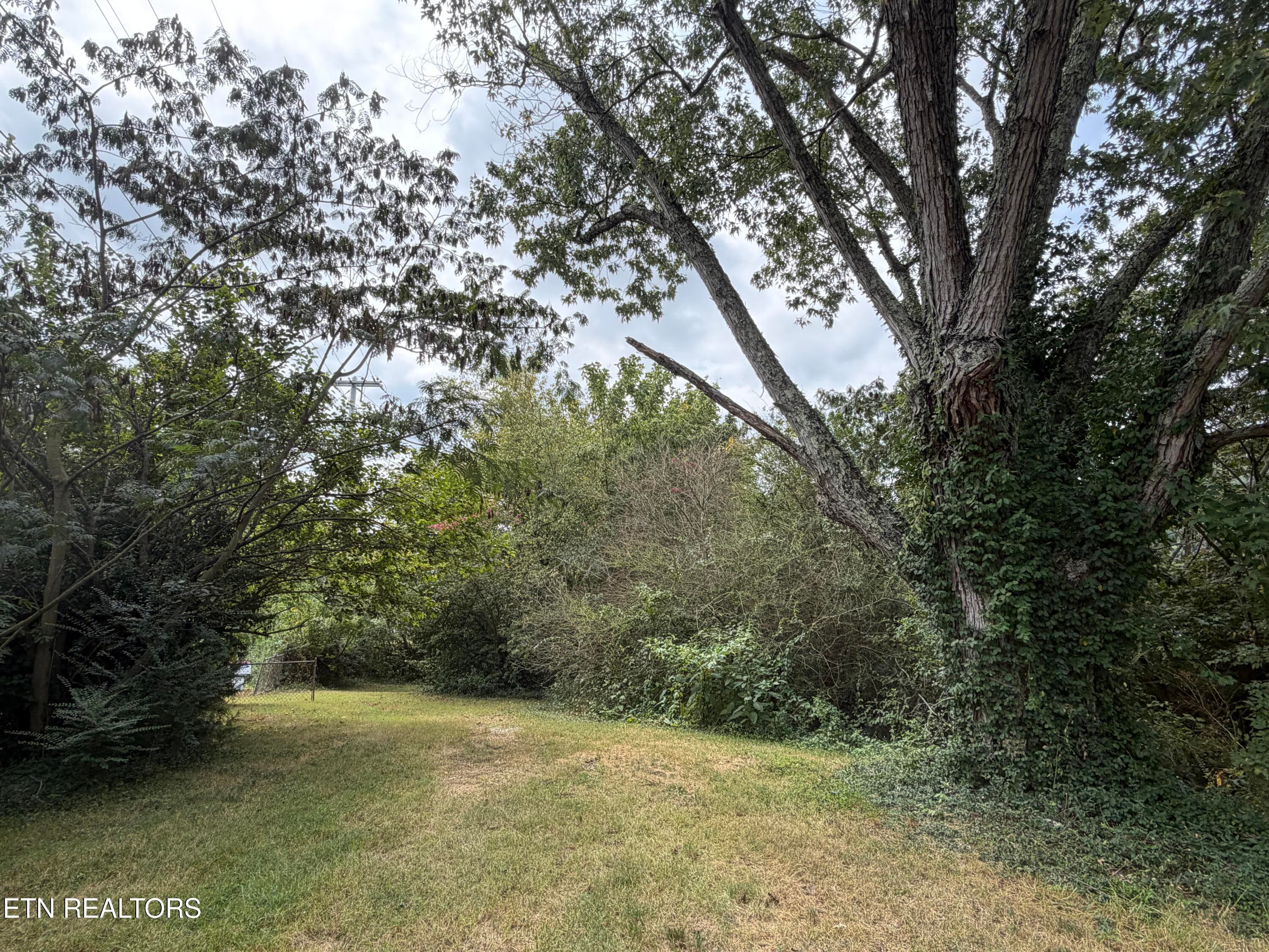 14_5 - 201 Hillcrest Ave, Rocky Top, TN 37769, Rocky Top