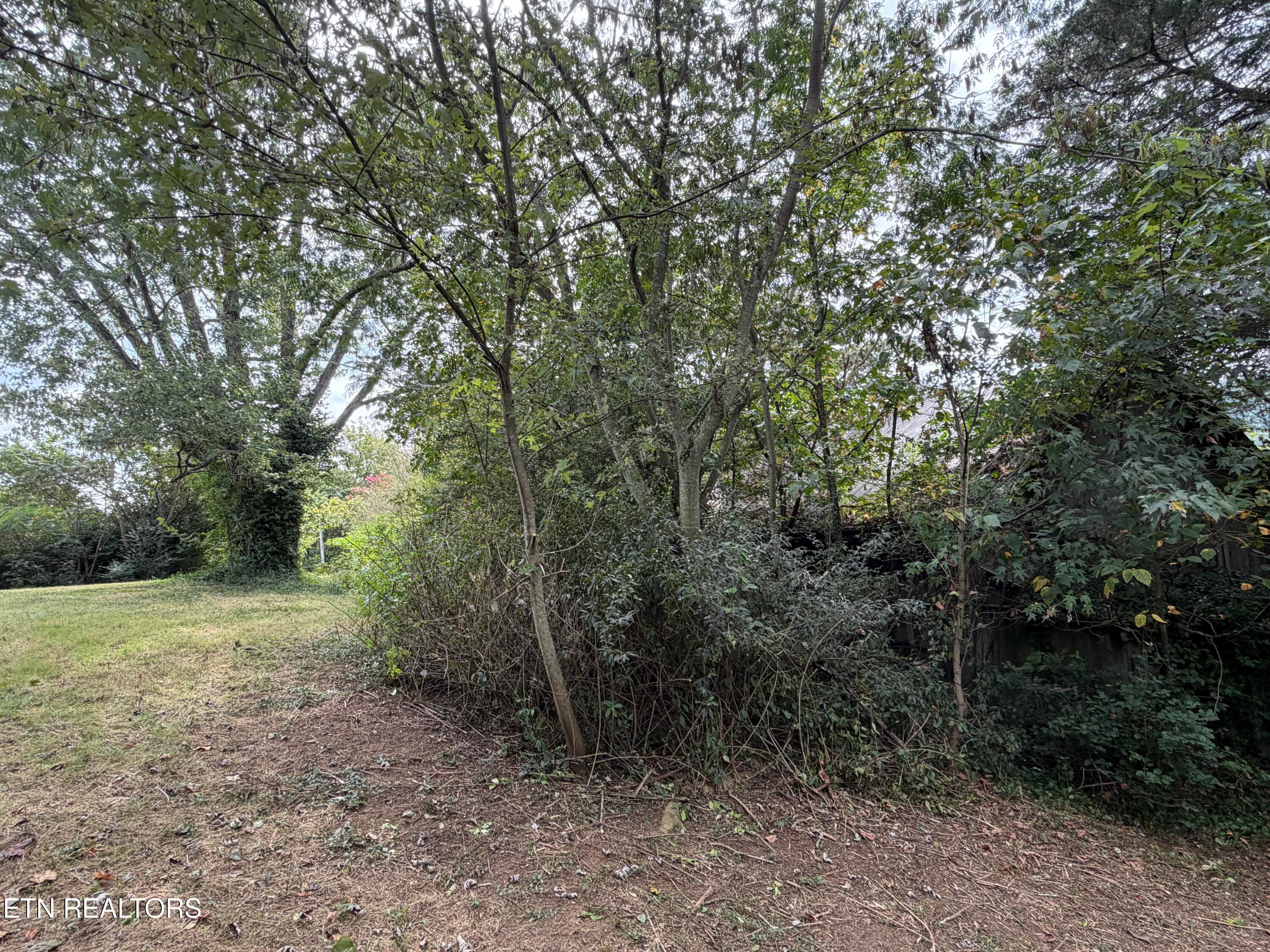 14_7 - 201 Hillcrest Ave, Rocky Top, TN 37769, Rocky Top