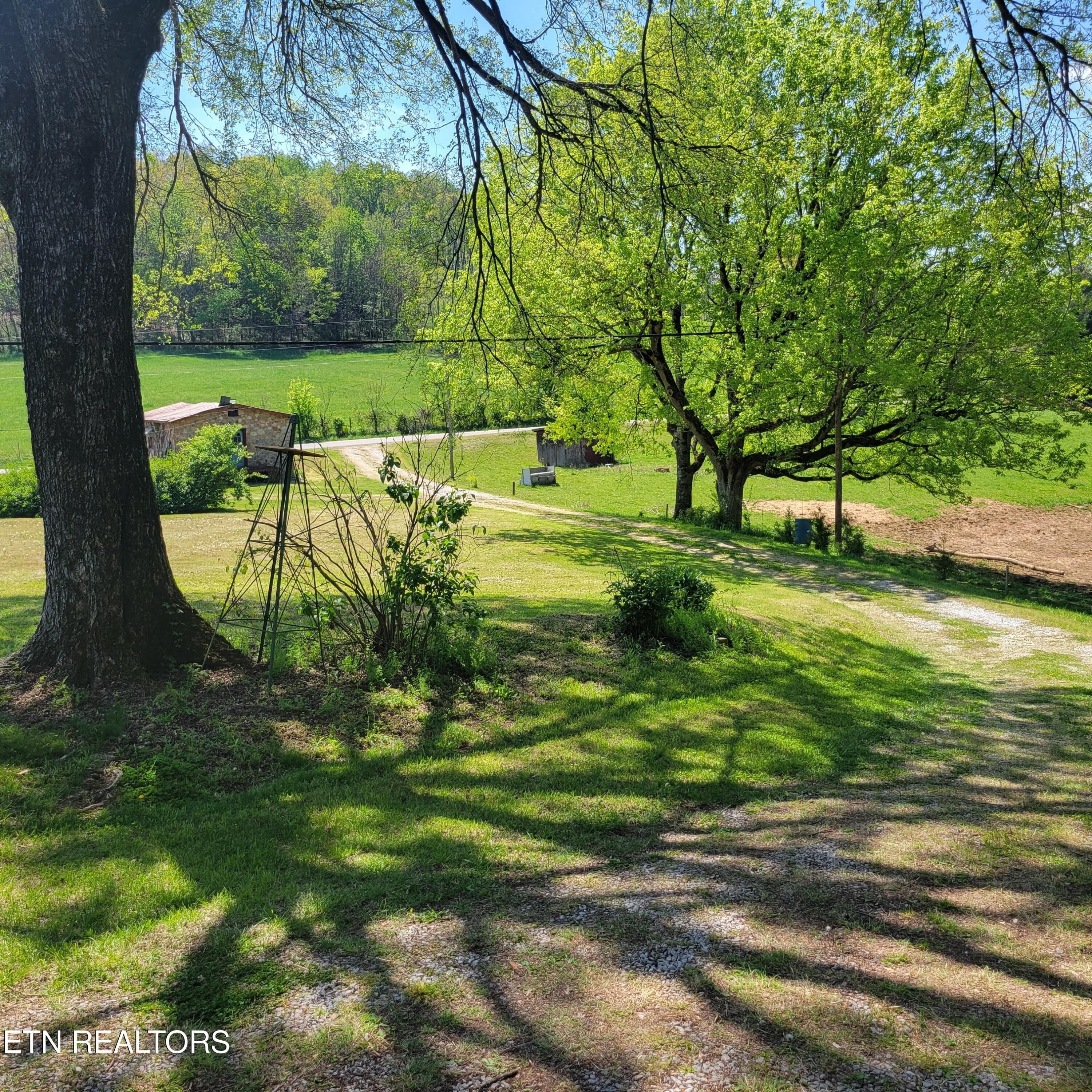 20260411_142154 - 271 Heim Rd, Rutledge, TN 37861, Rutledge