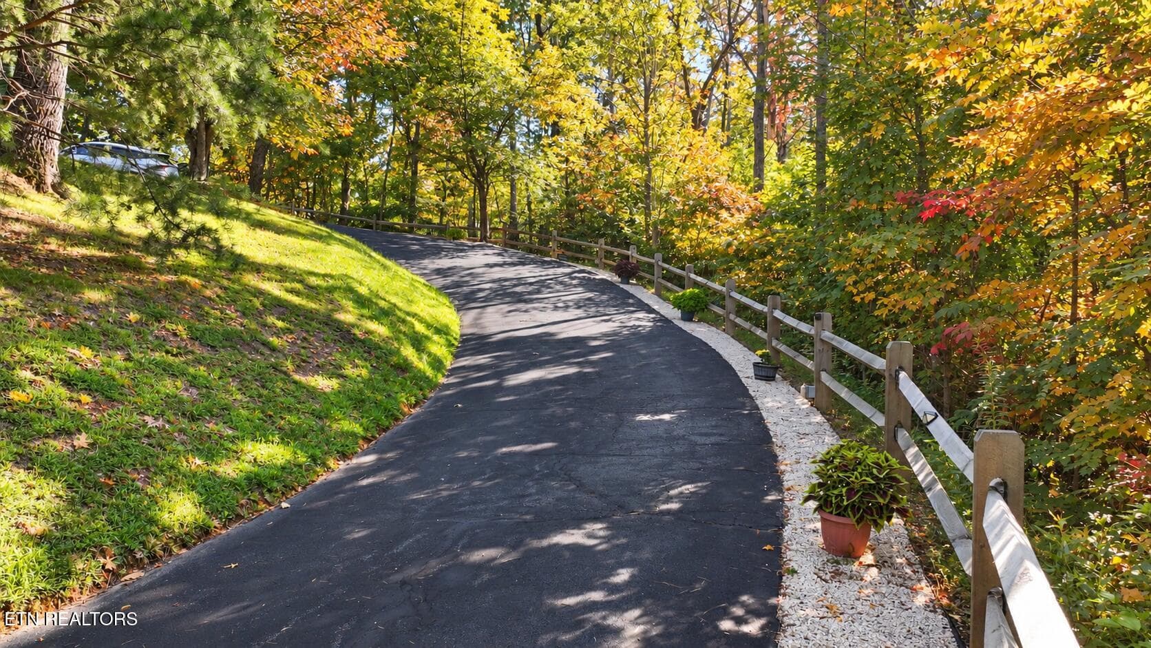 Sunlit Autumn Driveway Through Trees - 3341 Sugar Maple Loop Rd, Sevierville, TN 37862