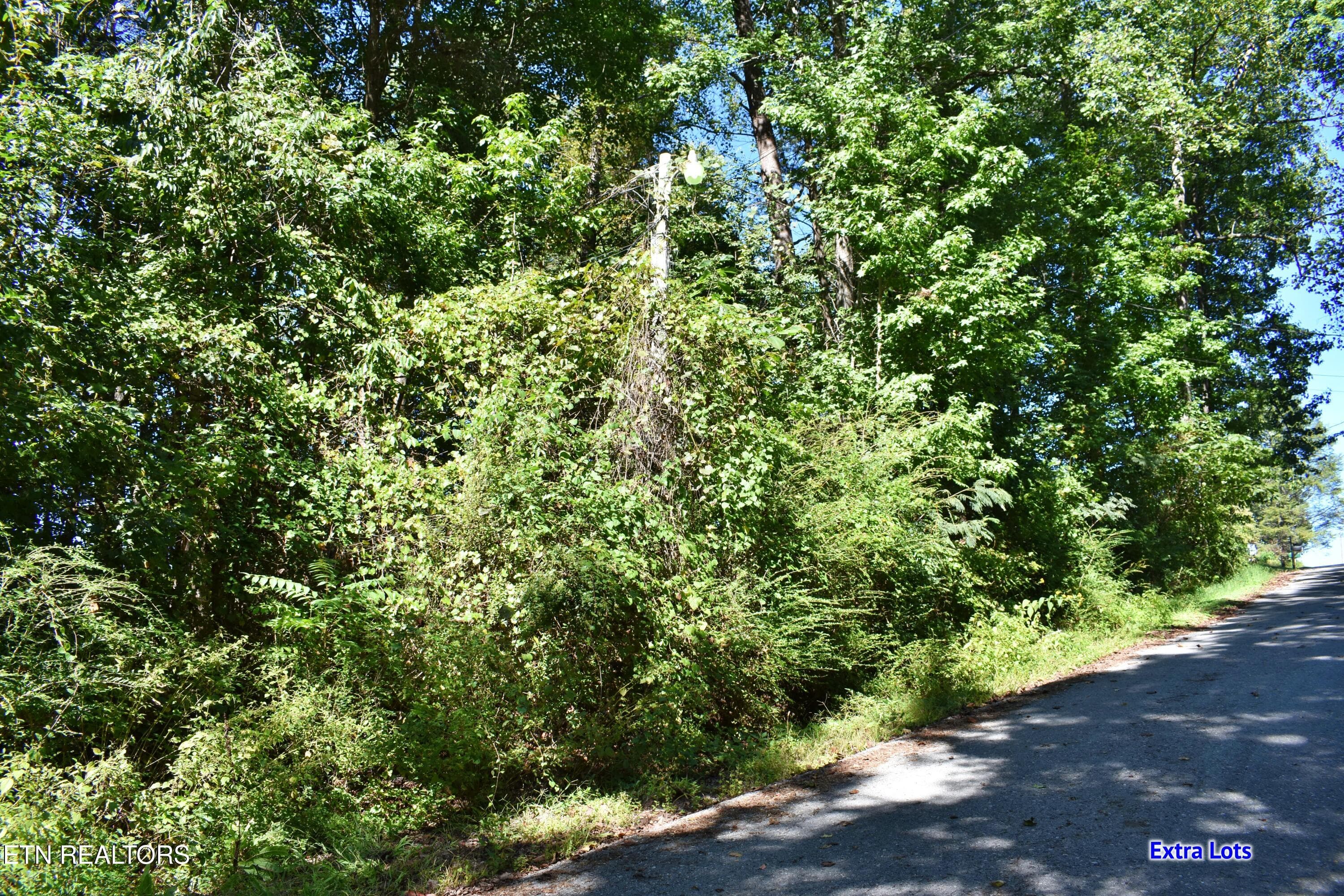DSC_0004 - 211 Dabbs Drive, Spring City, TN 37381, Spring City