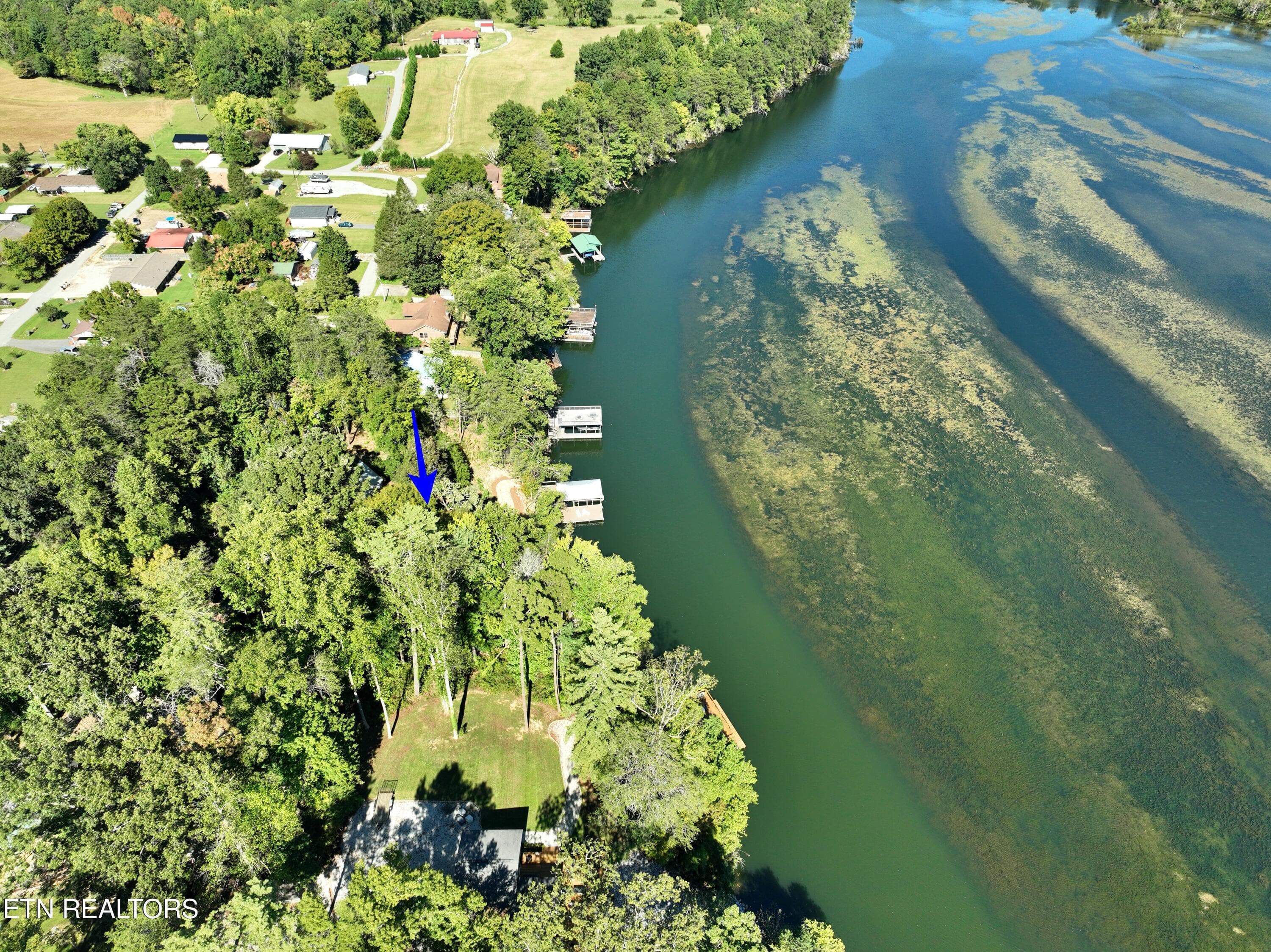 DJI_0796 - 211 Dabbs Drive, Spring City, TN 37381, Spring City