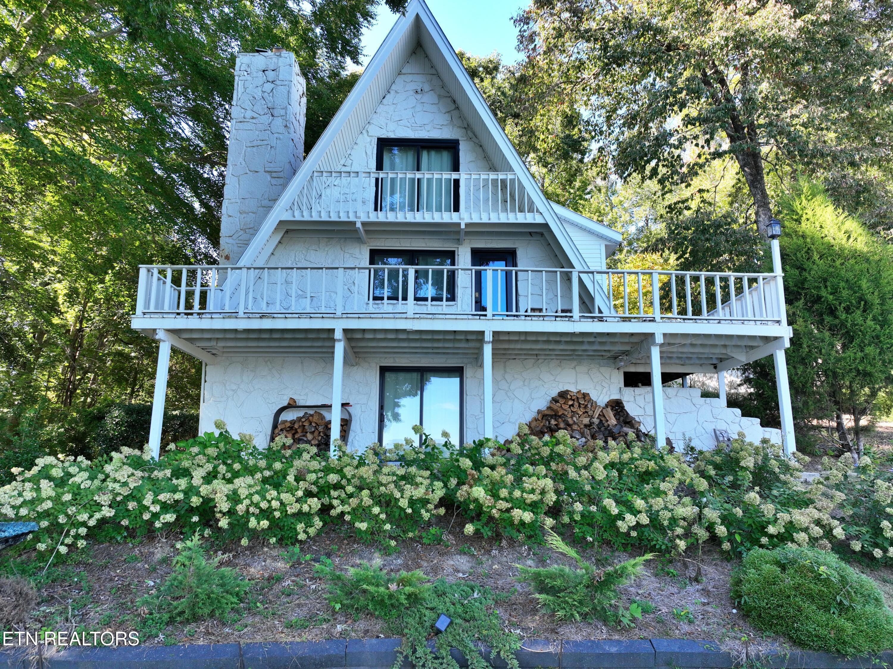 DJI_0819 - 211 Dabbs Drive, Spring City, TN 37381, Spring City