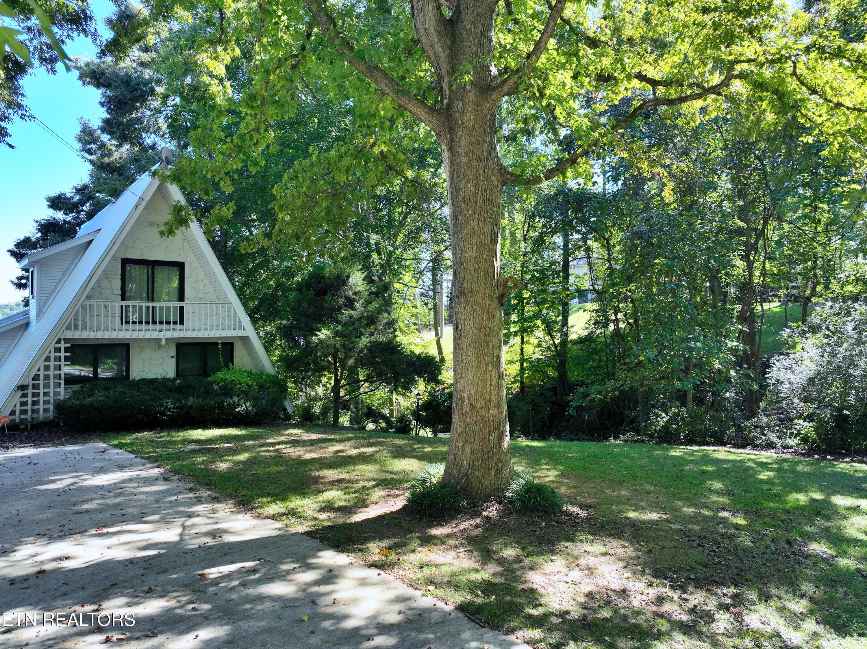 DJI_0834 - 211 Dabbs Drive, Spring City, TN 37381, Spring City